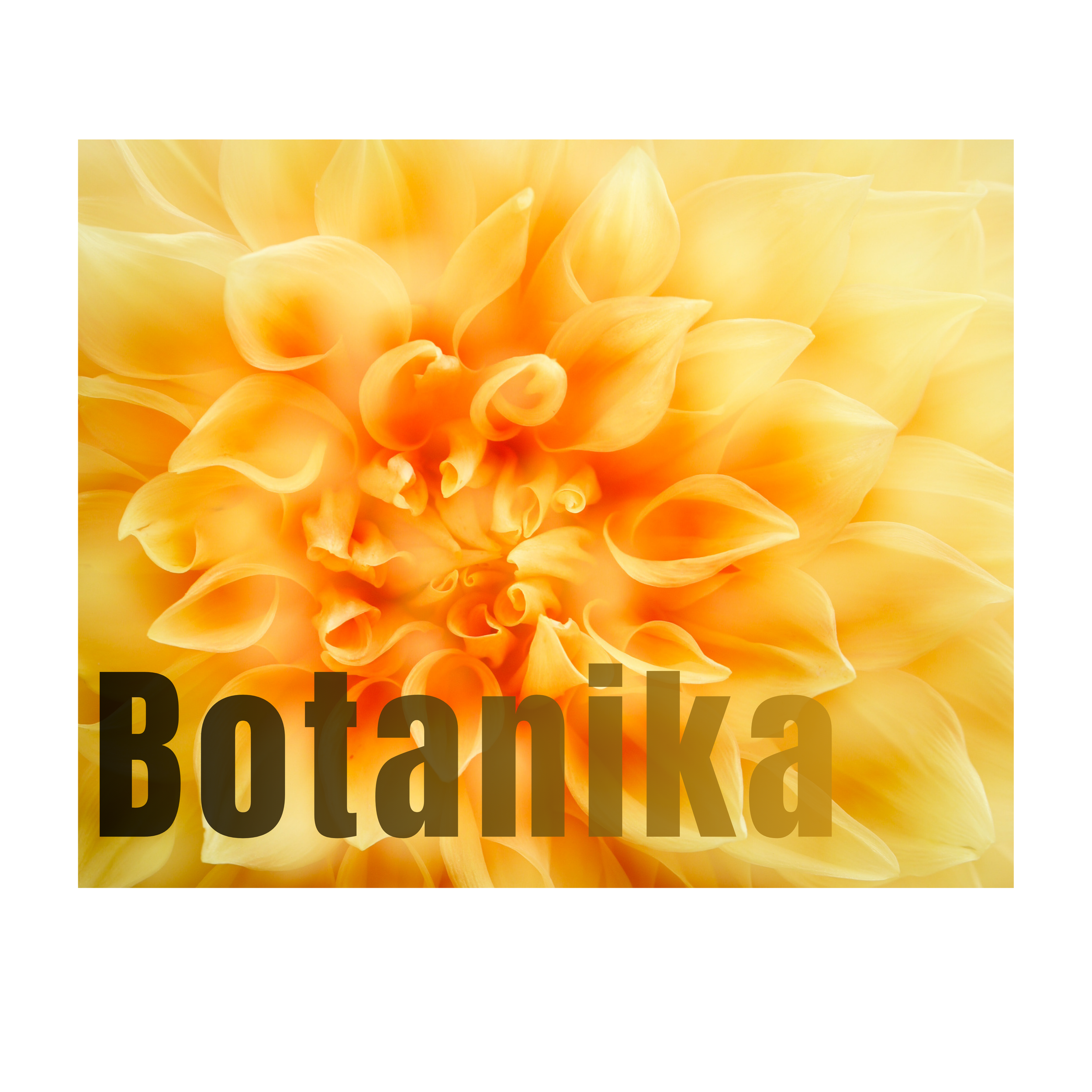 Botanika
