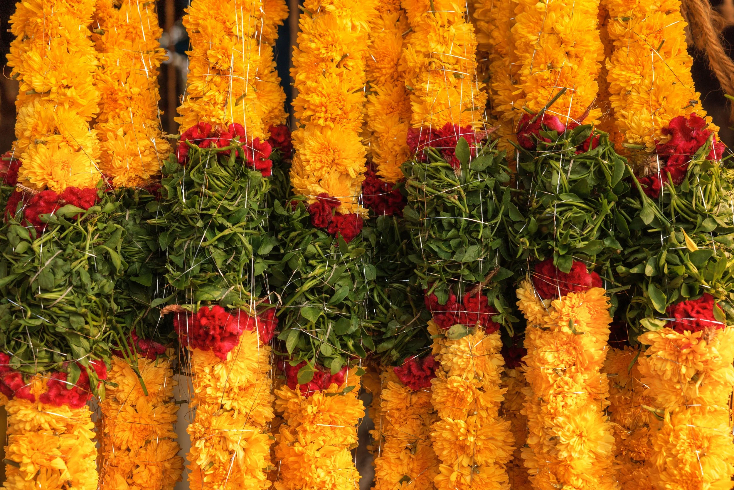 Flower Market H copy.jpg