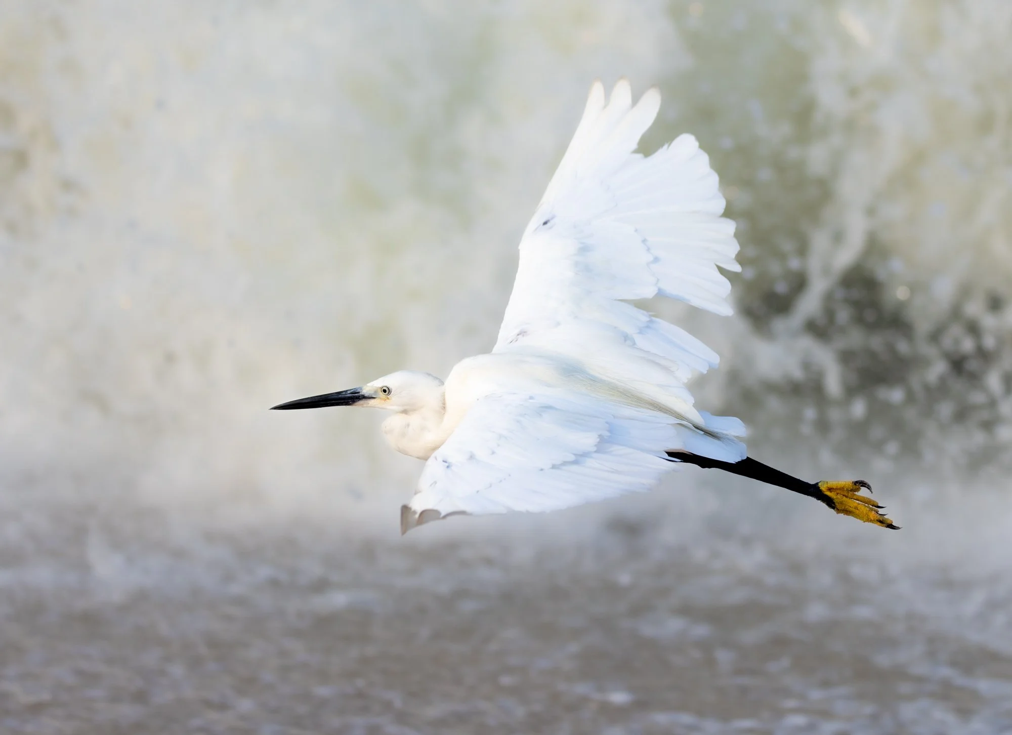 In front of the waves.jpg