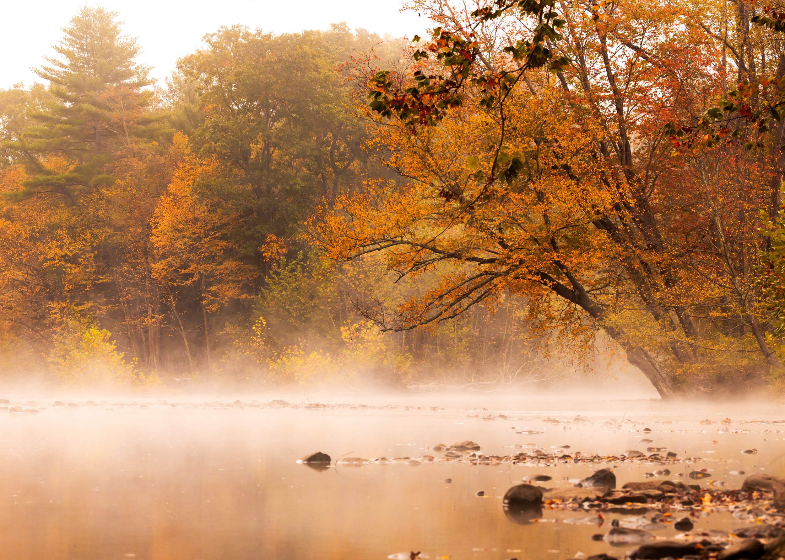 fall in elk county-5.jpg