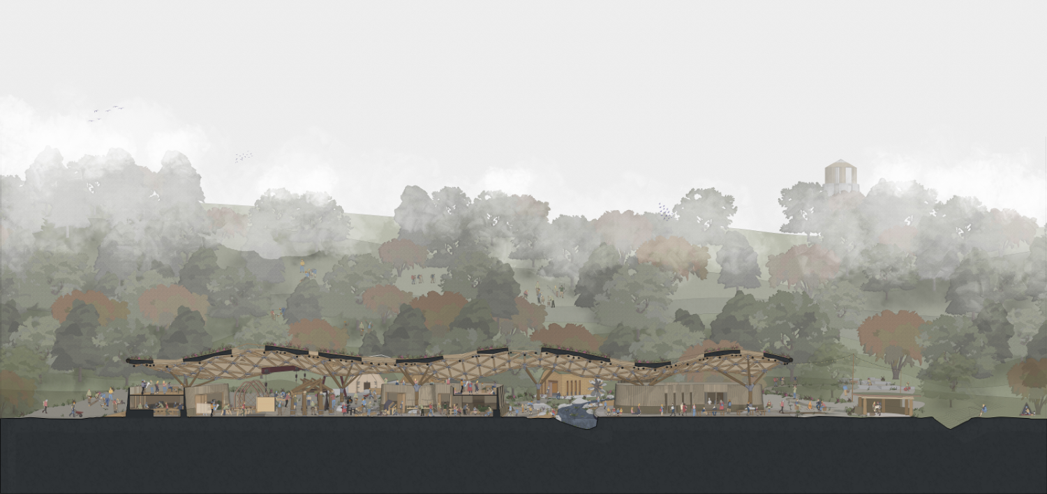 Cross section through a timber structure with a large curved roof and the wooded landscape beyond