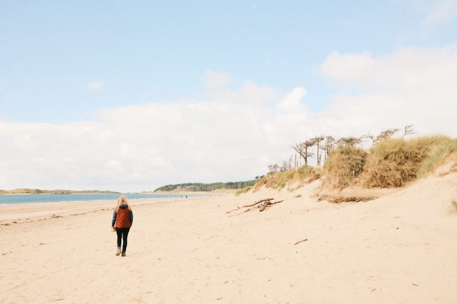 Ally walking on a long beach with trees in the distance
