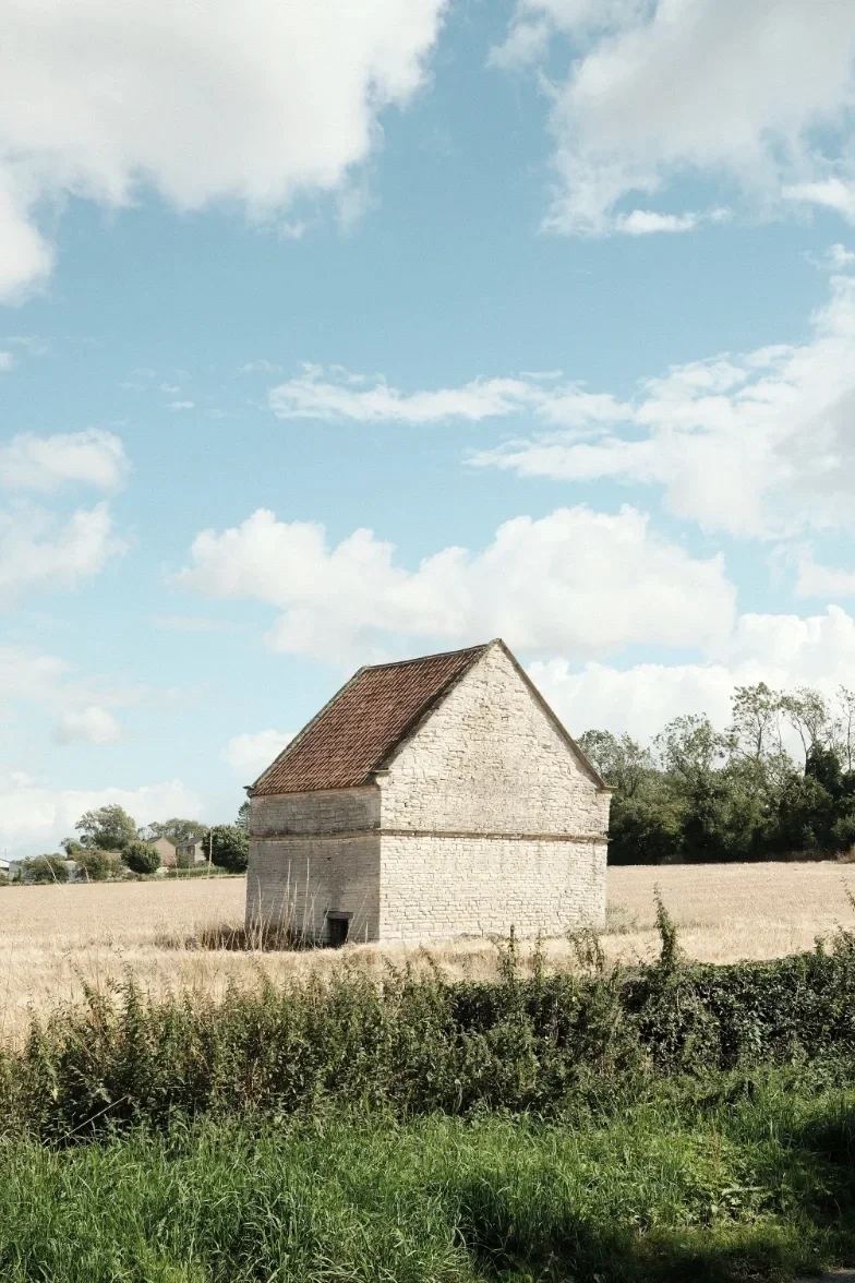 Old stone barn with pantile roof set within a rural corn field