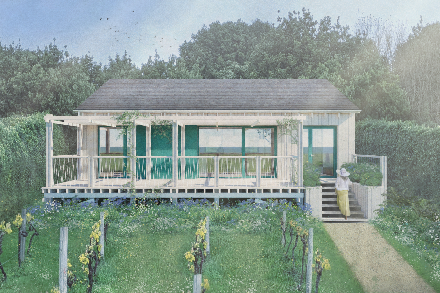 Contemporary single storey home with green windows with a raised timber deck