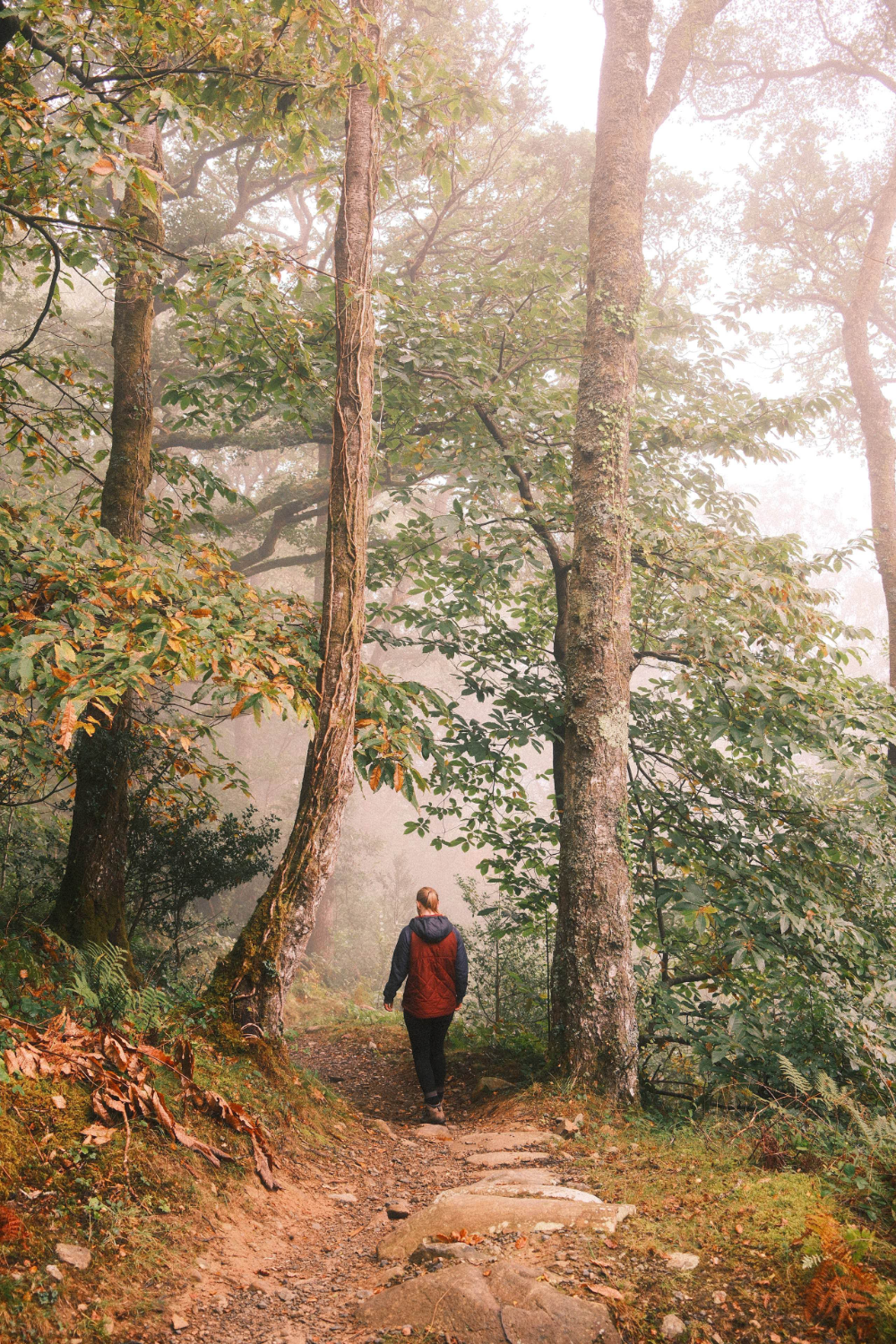 Ally walking down a steep path through a misty forest
