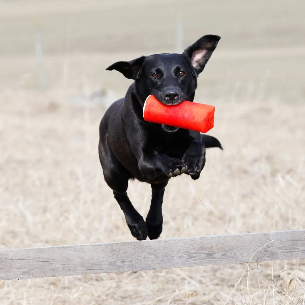 Sea-Croft Neah. Ägare Kajsa Fagerström