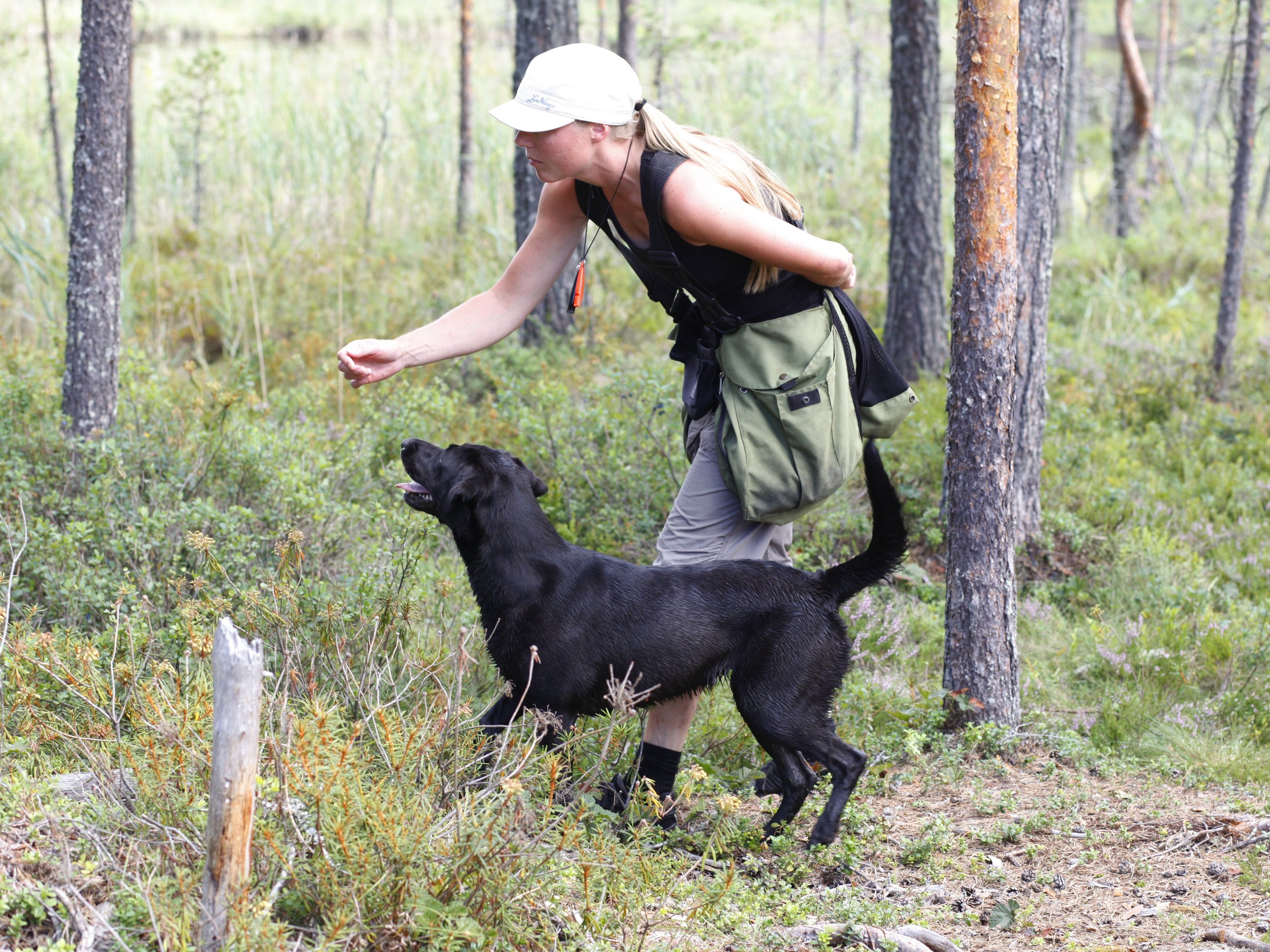 Kajsa Fagerström, Fairflow Gundogs