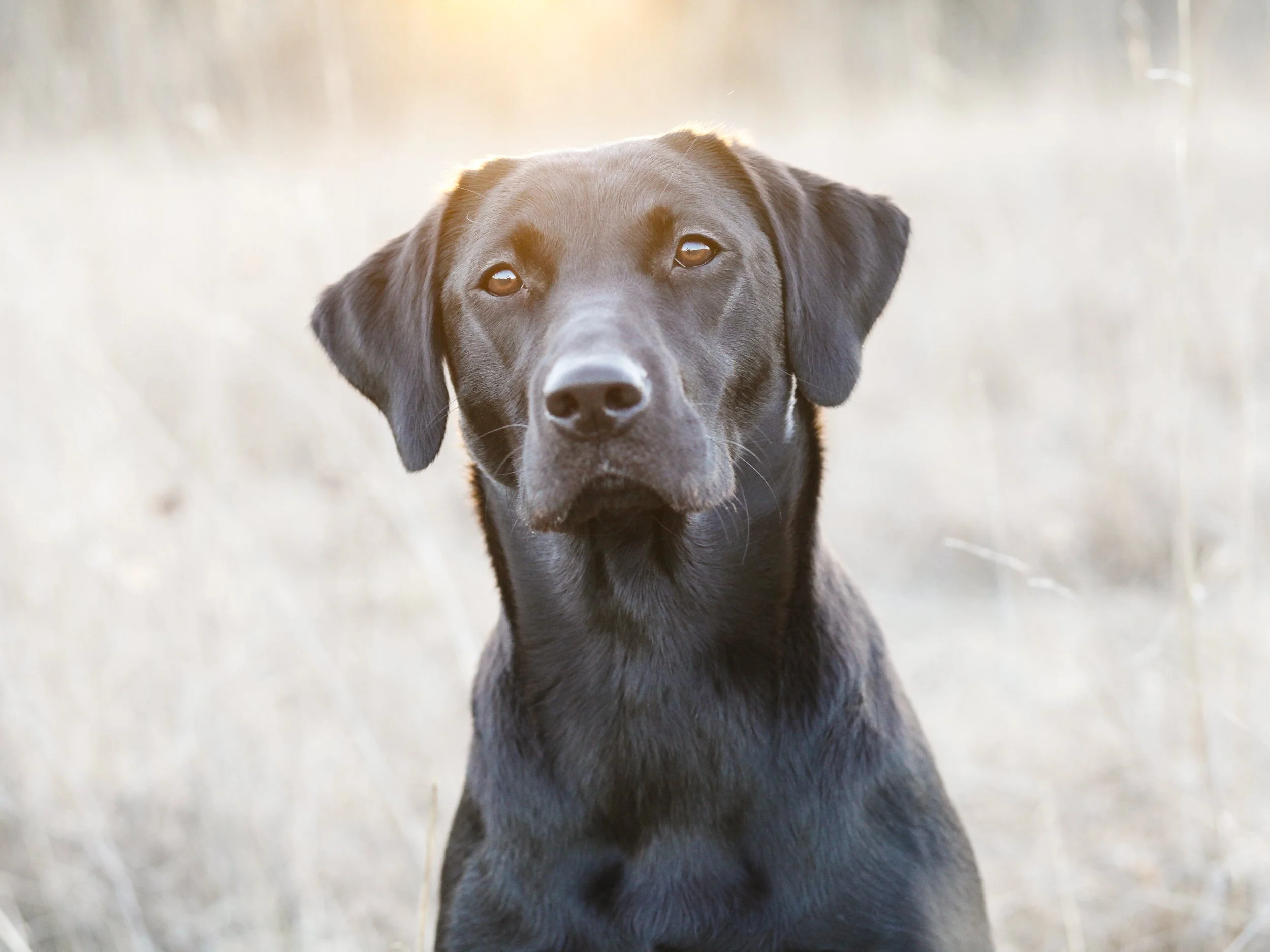 Sea-Croft Neah. Ägare Kajsa Fagerström