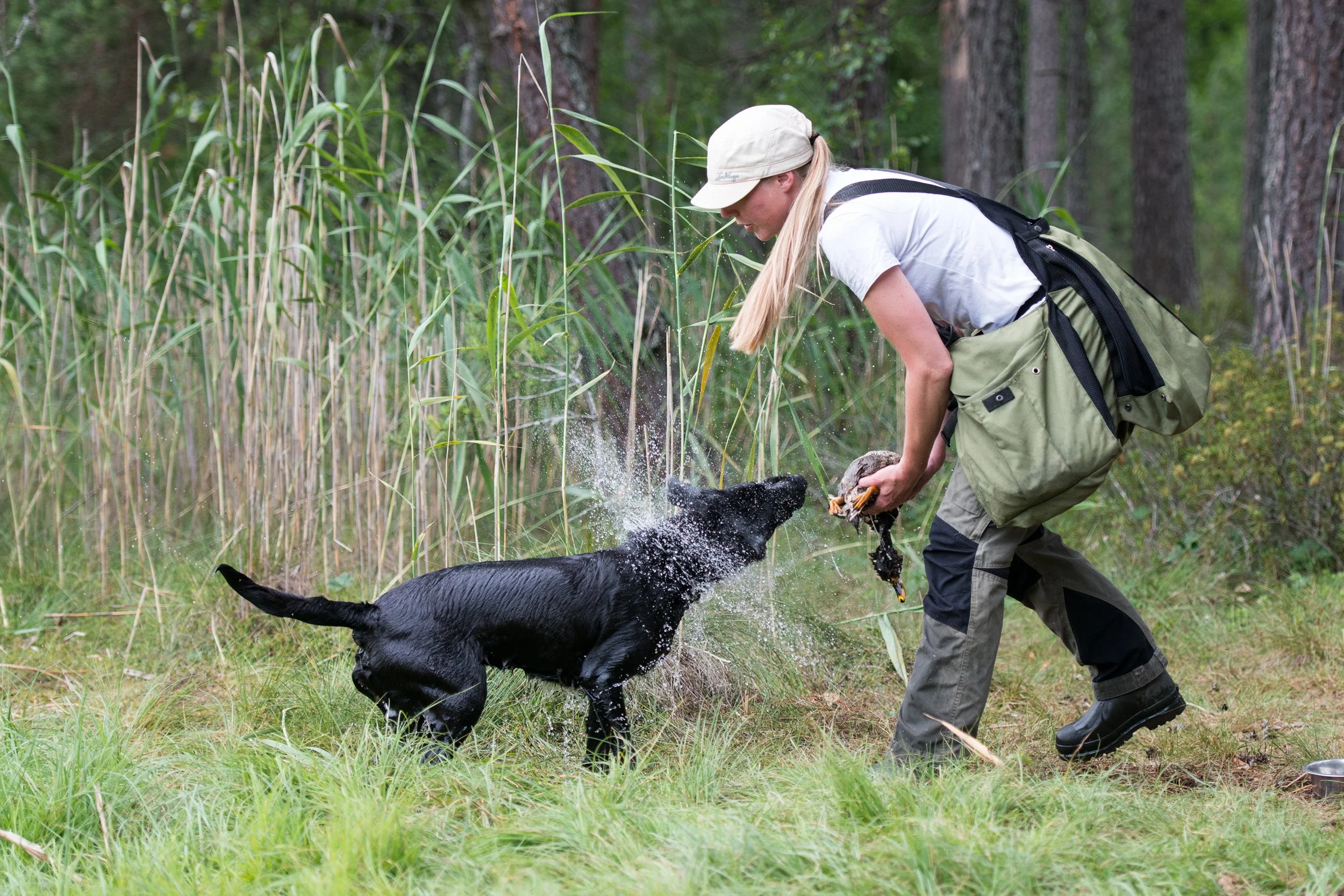 Kajsa Fagerström, Fairflow Gundogs