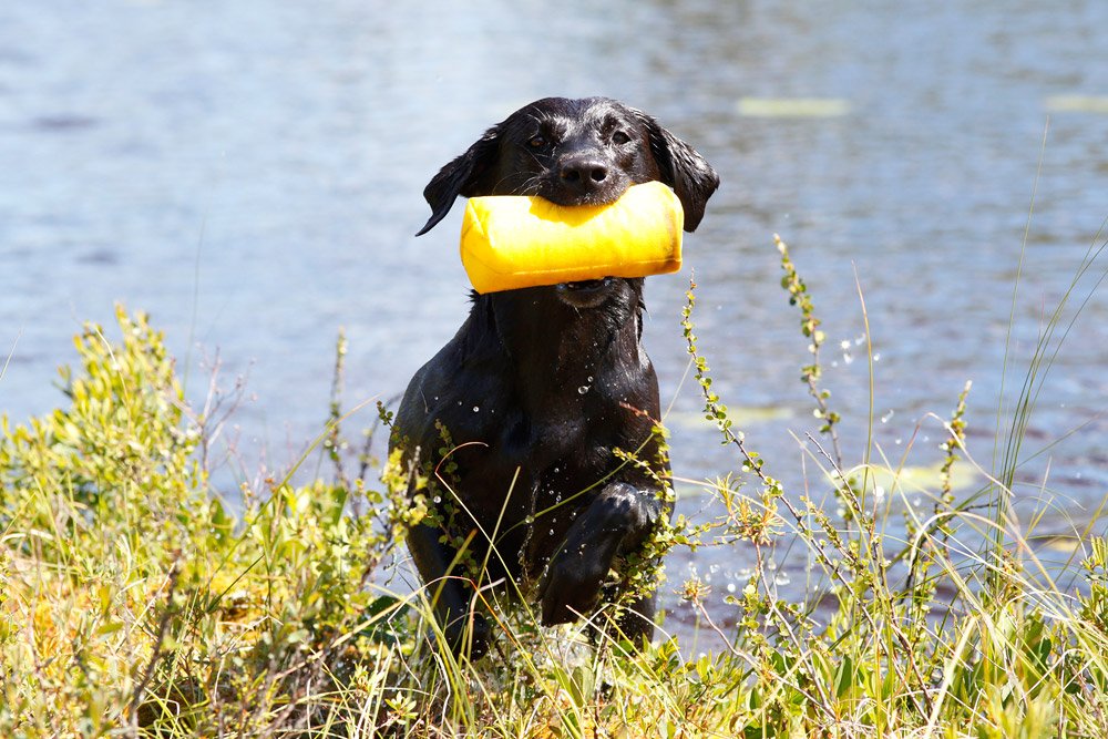 Sea-Croft Neah. Ägare Kajsa Fagerström