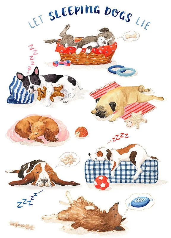 collection of illustrations with dogs sleeping