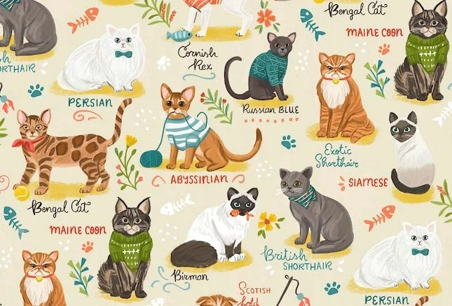 repeat pattern of different cat breeds