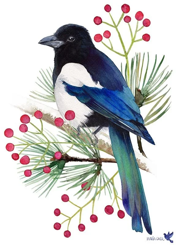 bird sitting on a pine branch with berries