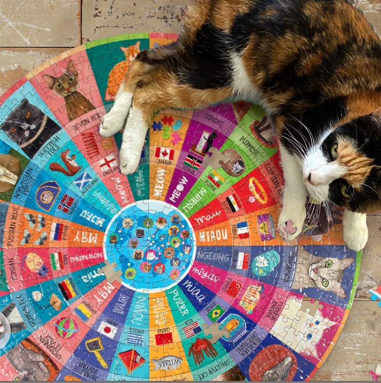 Round cat puzzle on the floor with a cat sitting on top of it
