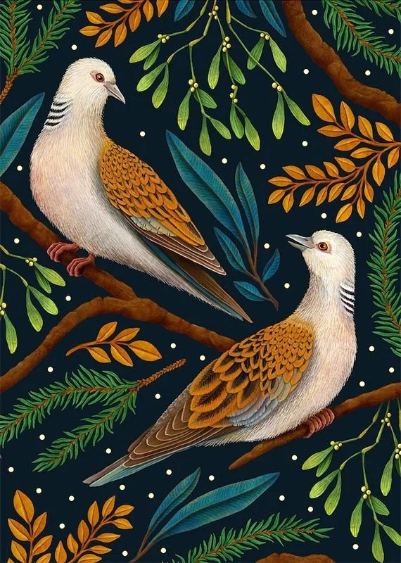 two turtle doves on a dark background surrounded by pine and mistletoe