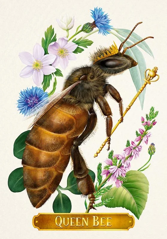 queen bee illustration