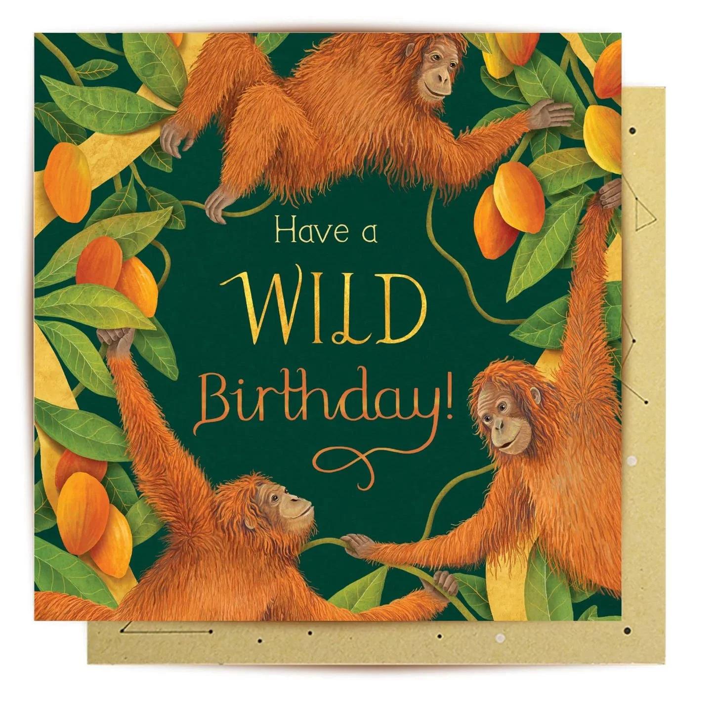 greeting card featuring orangutans