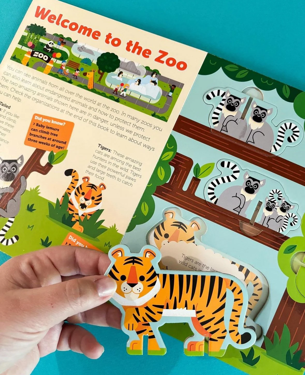 spread of a zoo themed pop out book with a kid holding a tiger