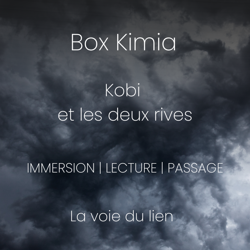 Djéliya, la graine et le mémoire (13).png