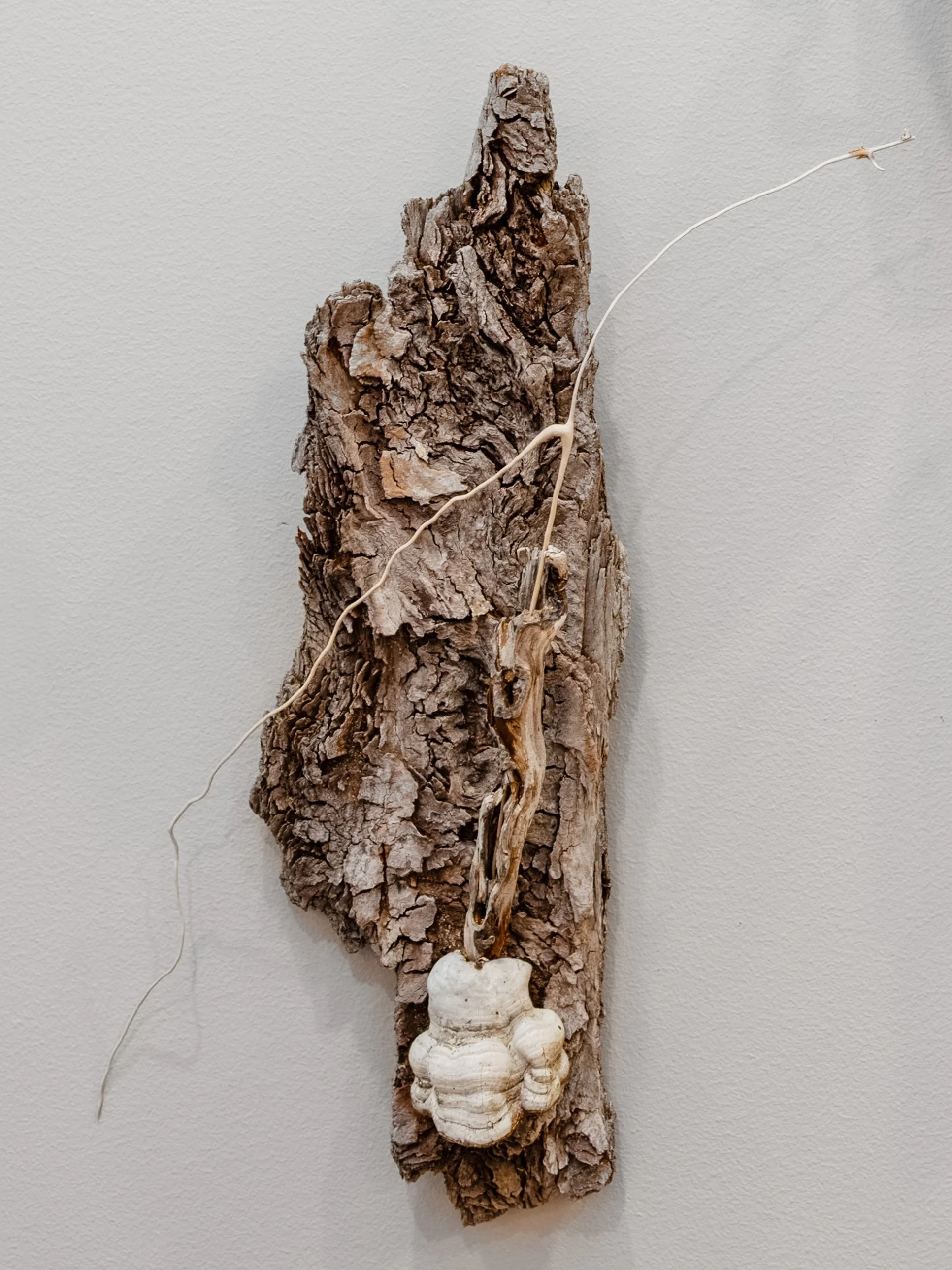 Naomi Sophia Call, Diverging After All That