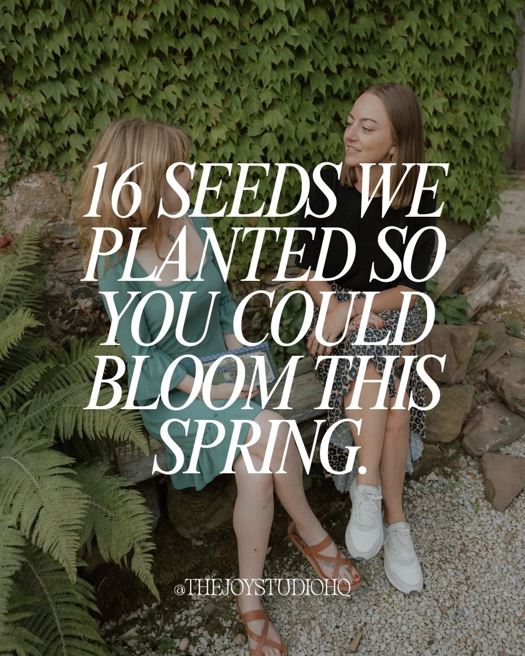 A pause to share the beautiful lessons that have been sown into the Joy Studio soil this winter. 

The thing we share and what drives us? 
Our passion for joyful impact. 

👇Which lesson are you going to stay with? Drop the number in the comments! 

