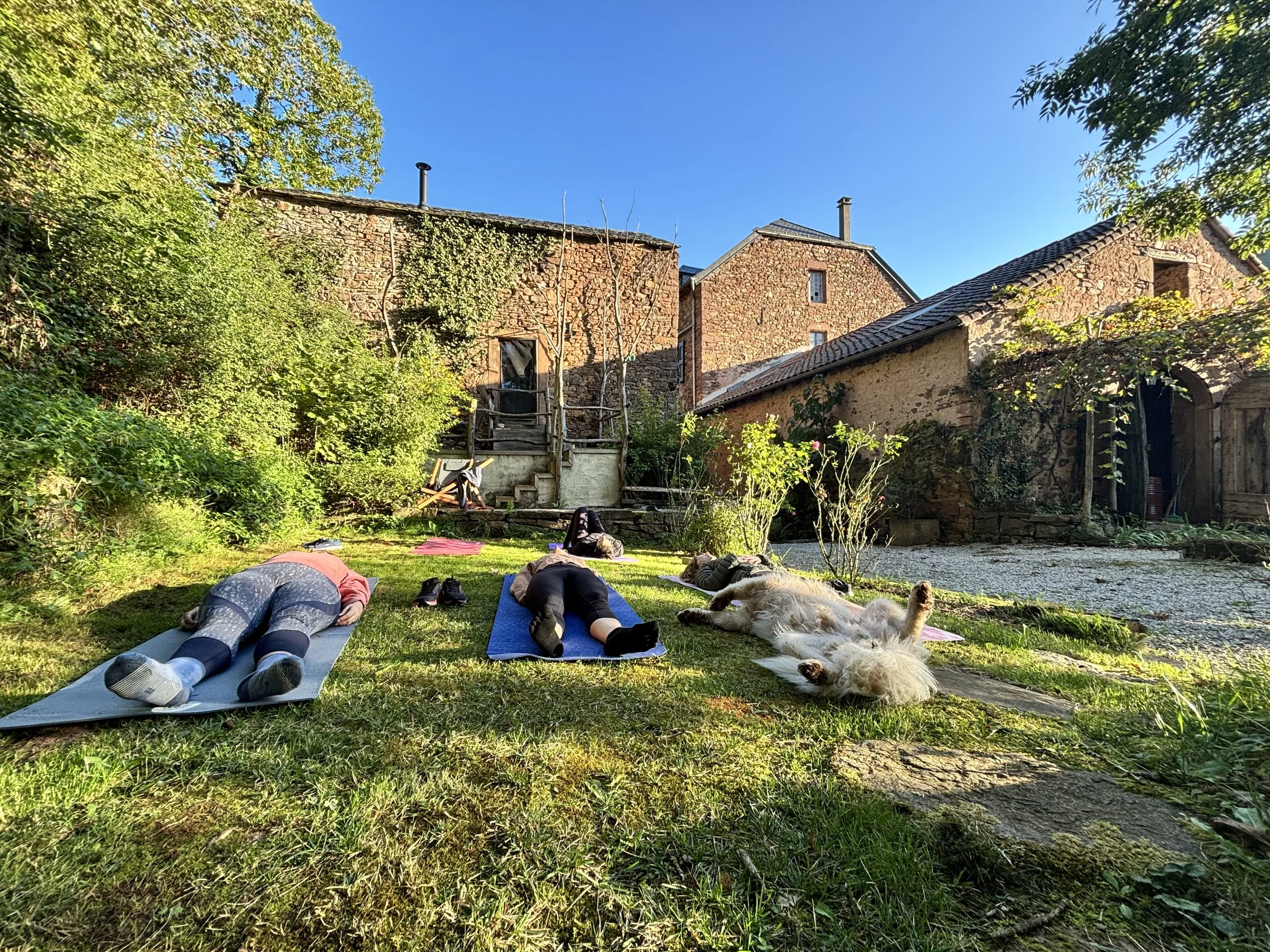 People practicing yoga outdoors on yoga mats in a garden, with a dog lying on the grass nearby, surrounded by greenery and old brick buildings under a clear blue sky.