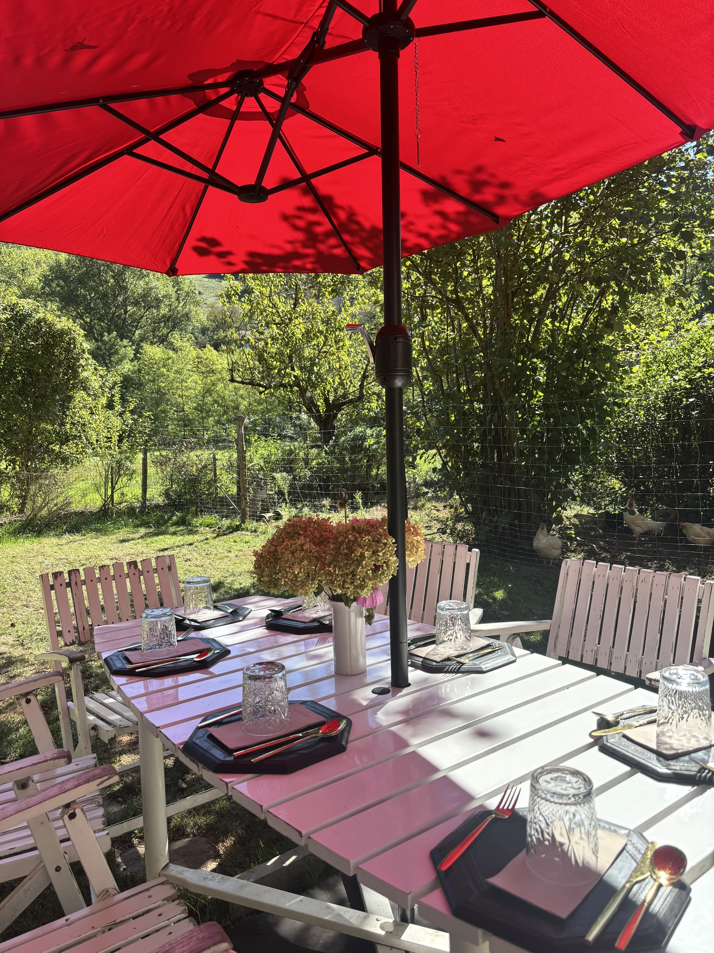 Outdoor dining table set with black plates, glasses, and utensils, under a red umbrella in a garden with trees and chickens.