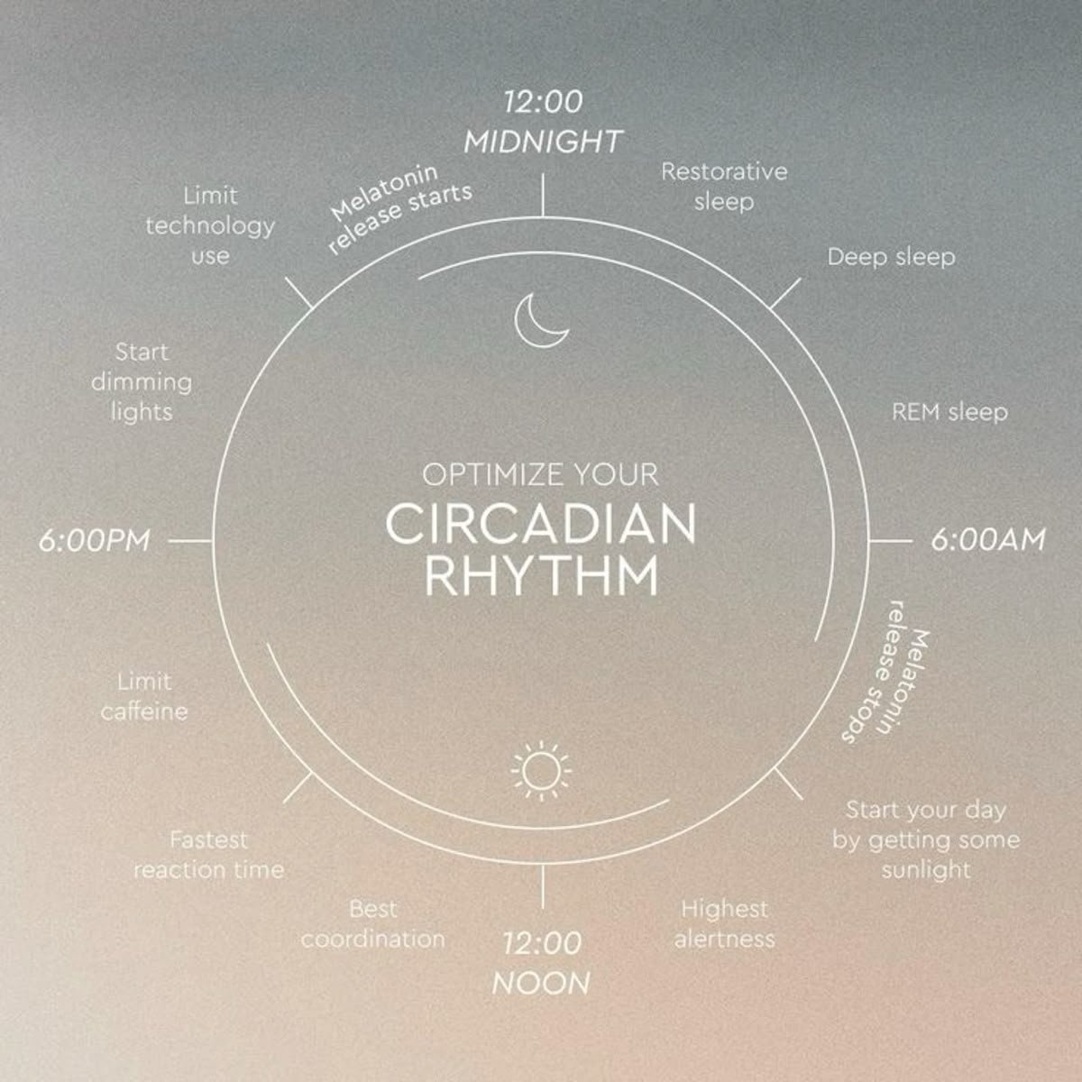 A circular diagram titled 'Optimize Your Circadian Rhythm' shows a 24-hour schedule beginning at 6:00 PM. It includes tips such as limiting caffeine, starting dimming lights, and using technology at specific times. It emphasizes sleep phases like dee