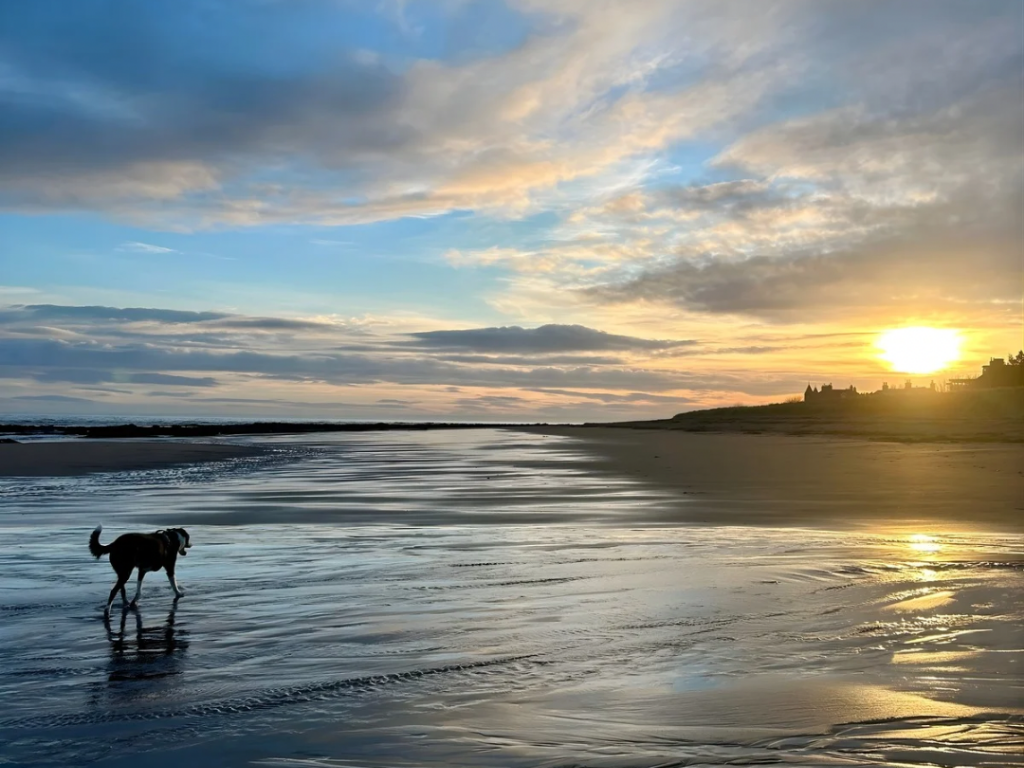 How to Choose the Right Estate Agent in Dundee
