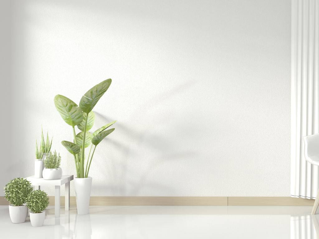 Why Deep Cleaning and Presentation Matter When Selling Your Home in Dundee