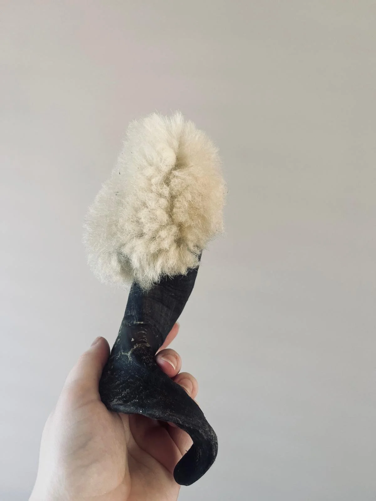 Sheep horn medicine rattle