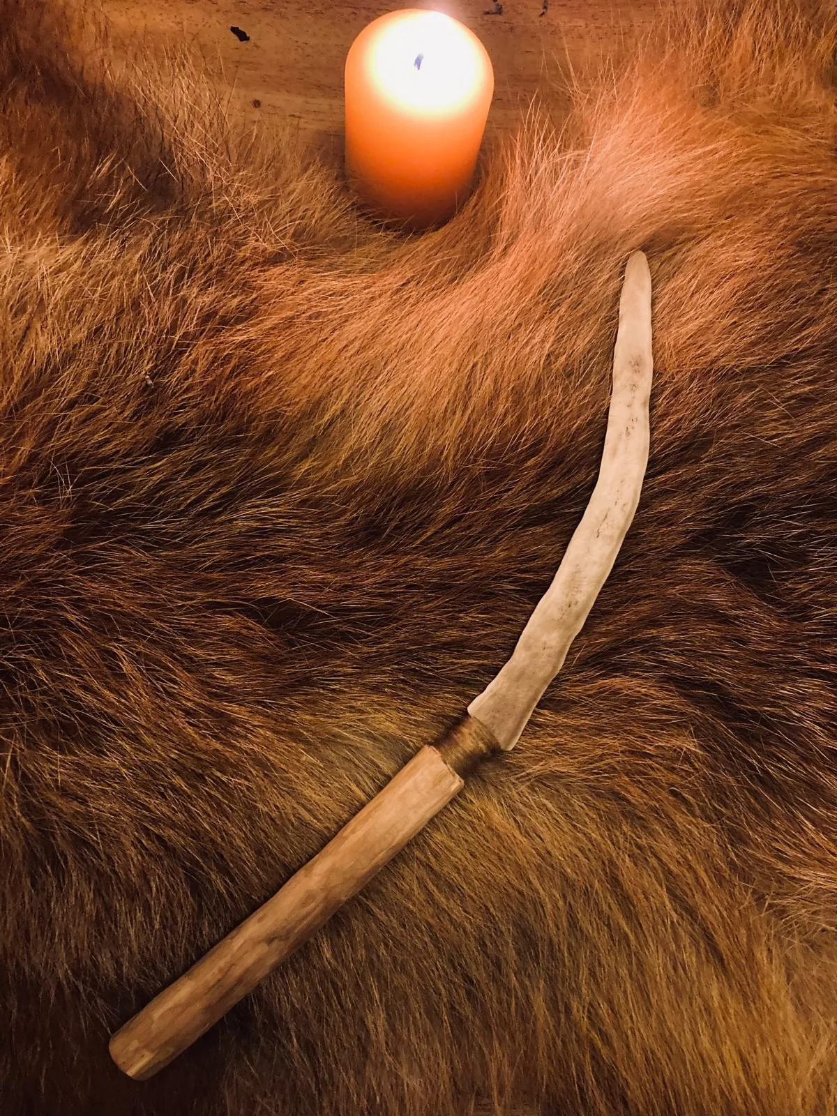 1000029541.jpg