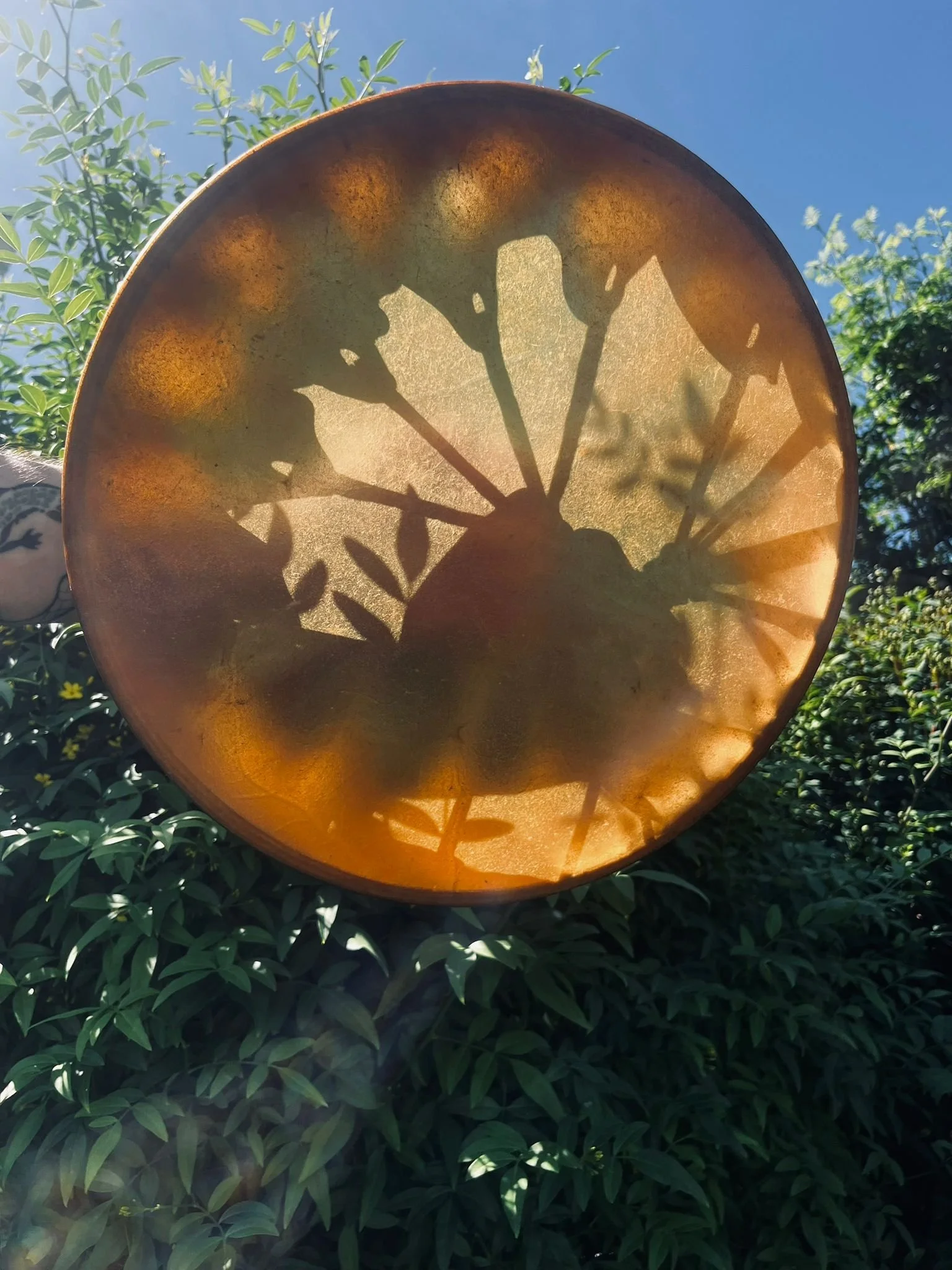 Drum of the Untamed