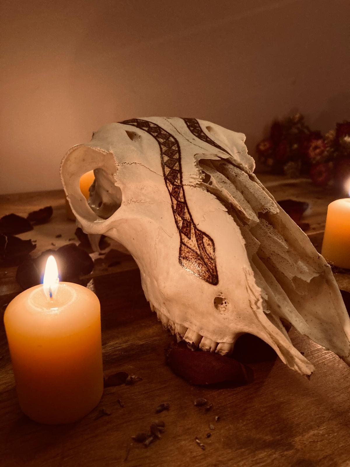 Sacred Snake