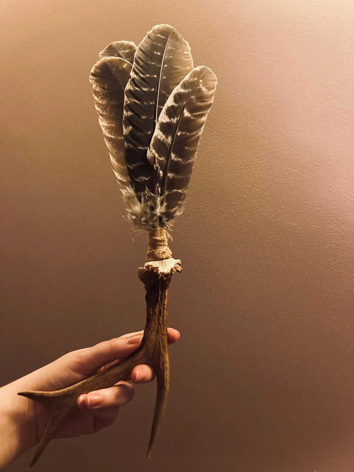 Antler Cleansing Fan