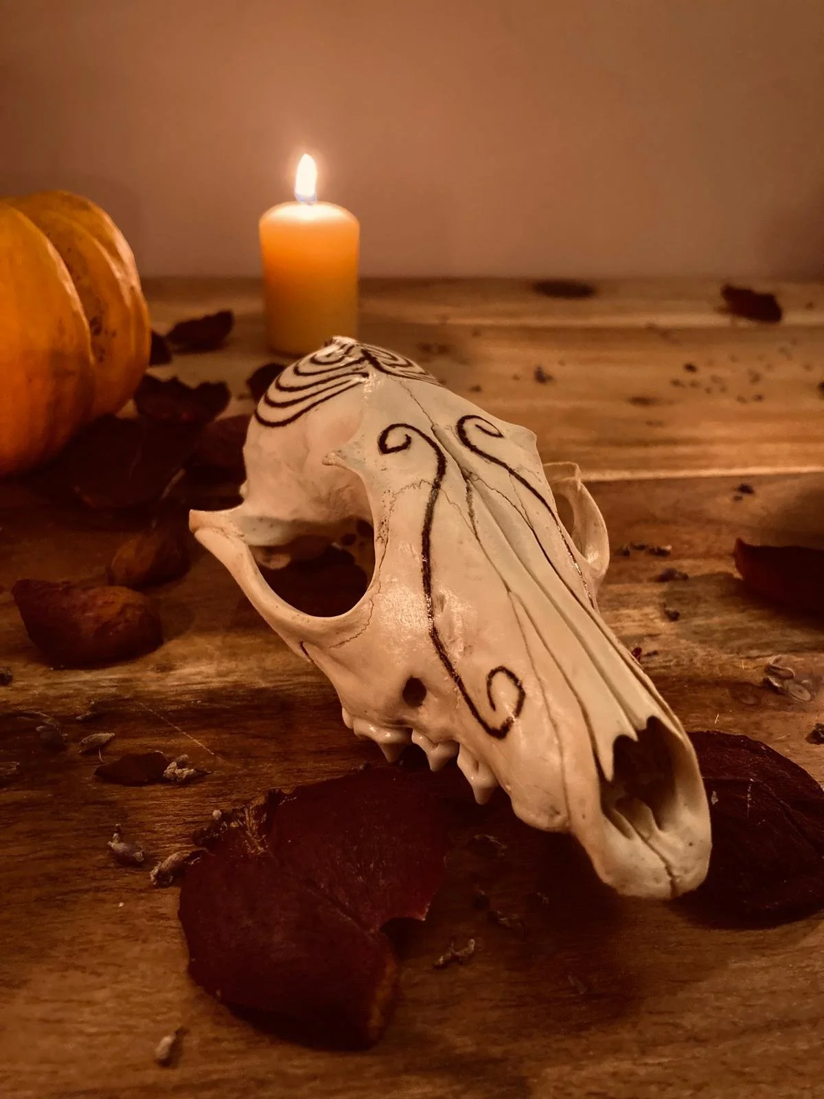 Fox Skull - The Labyrinth