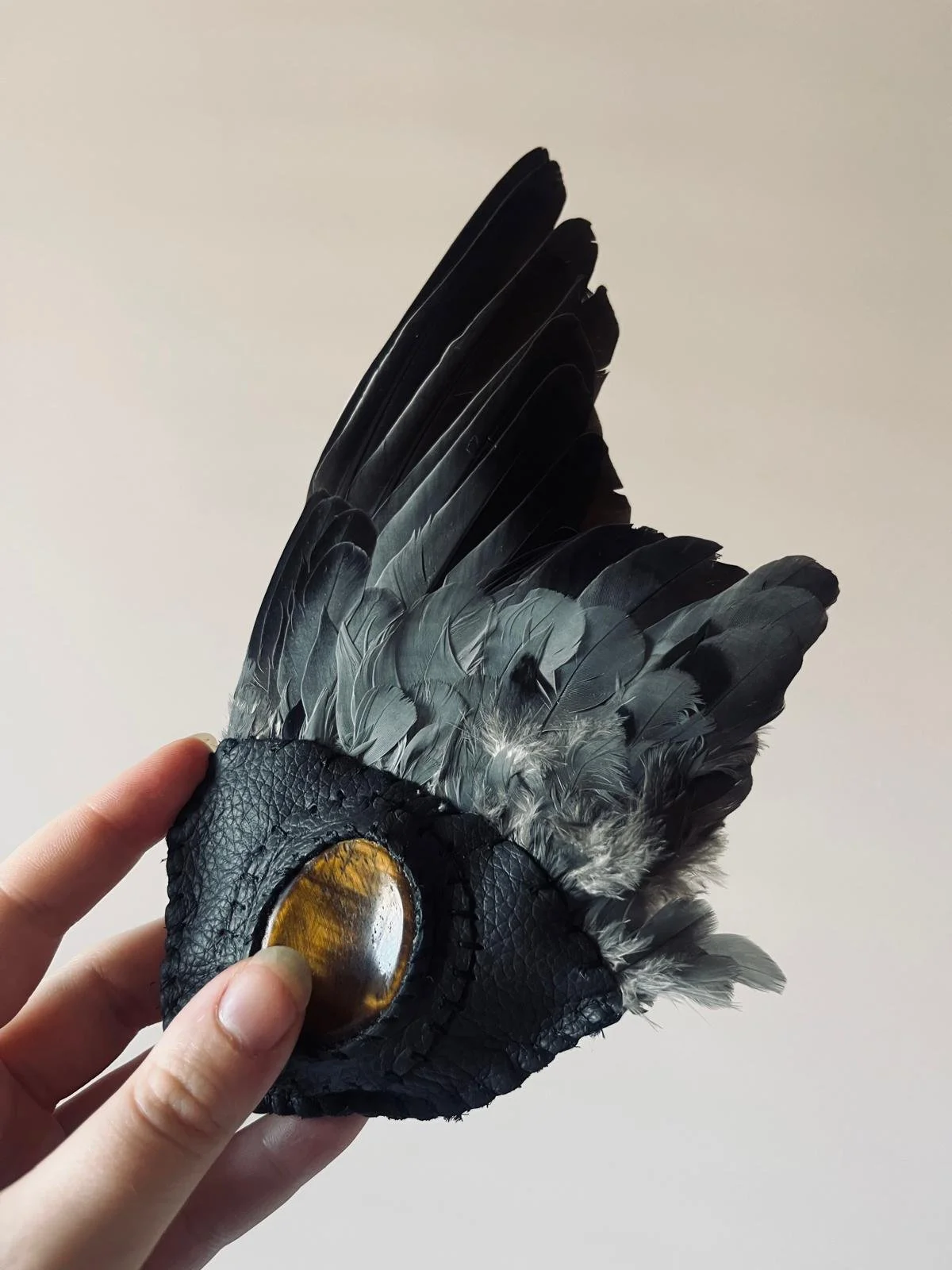 Wood Pigeon Wing