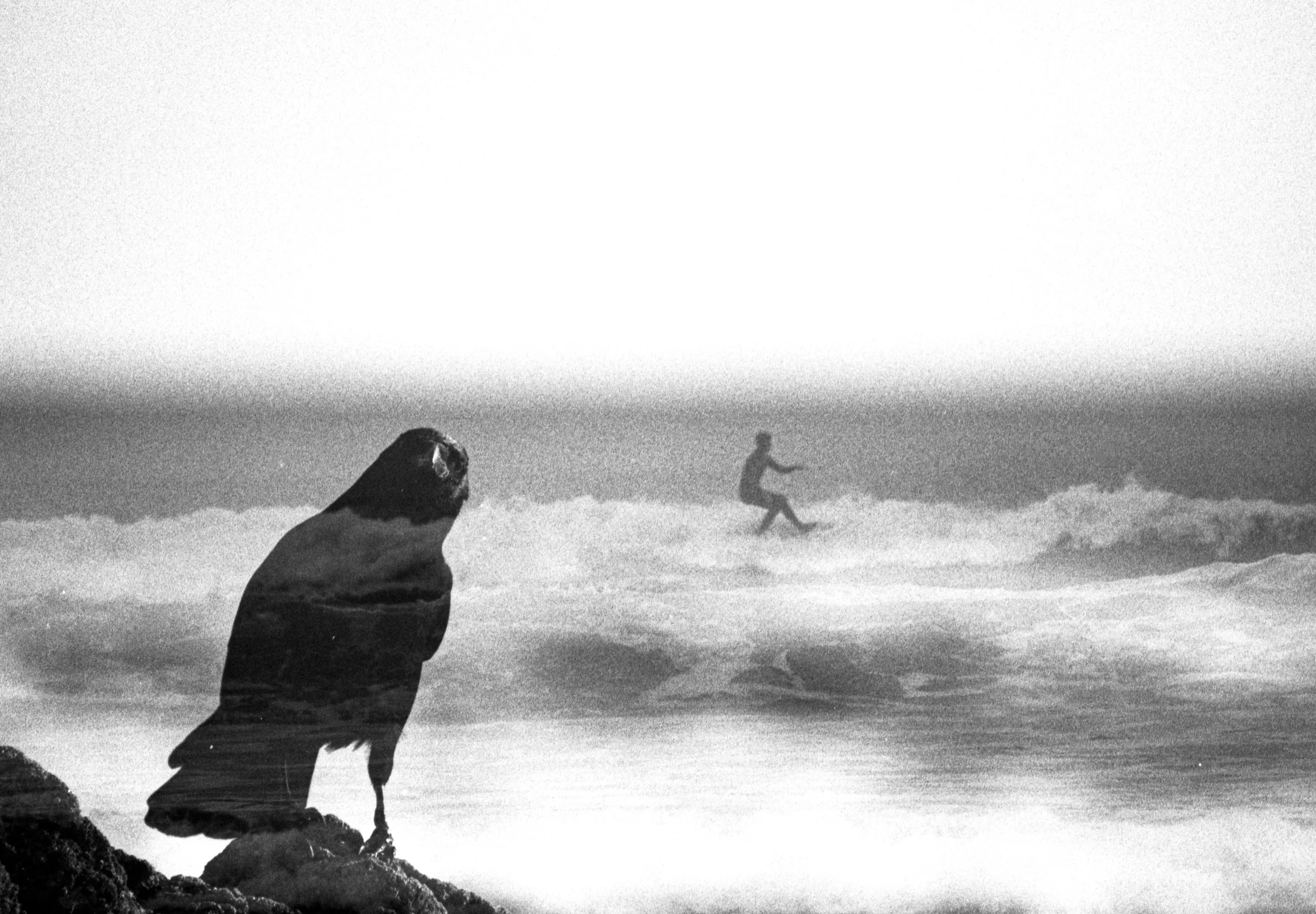 Double Exposure, Cornwall, 2024