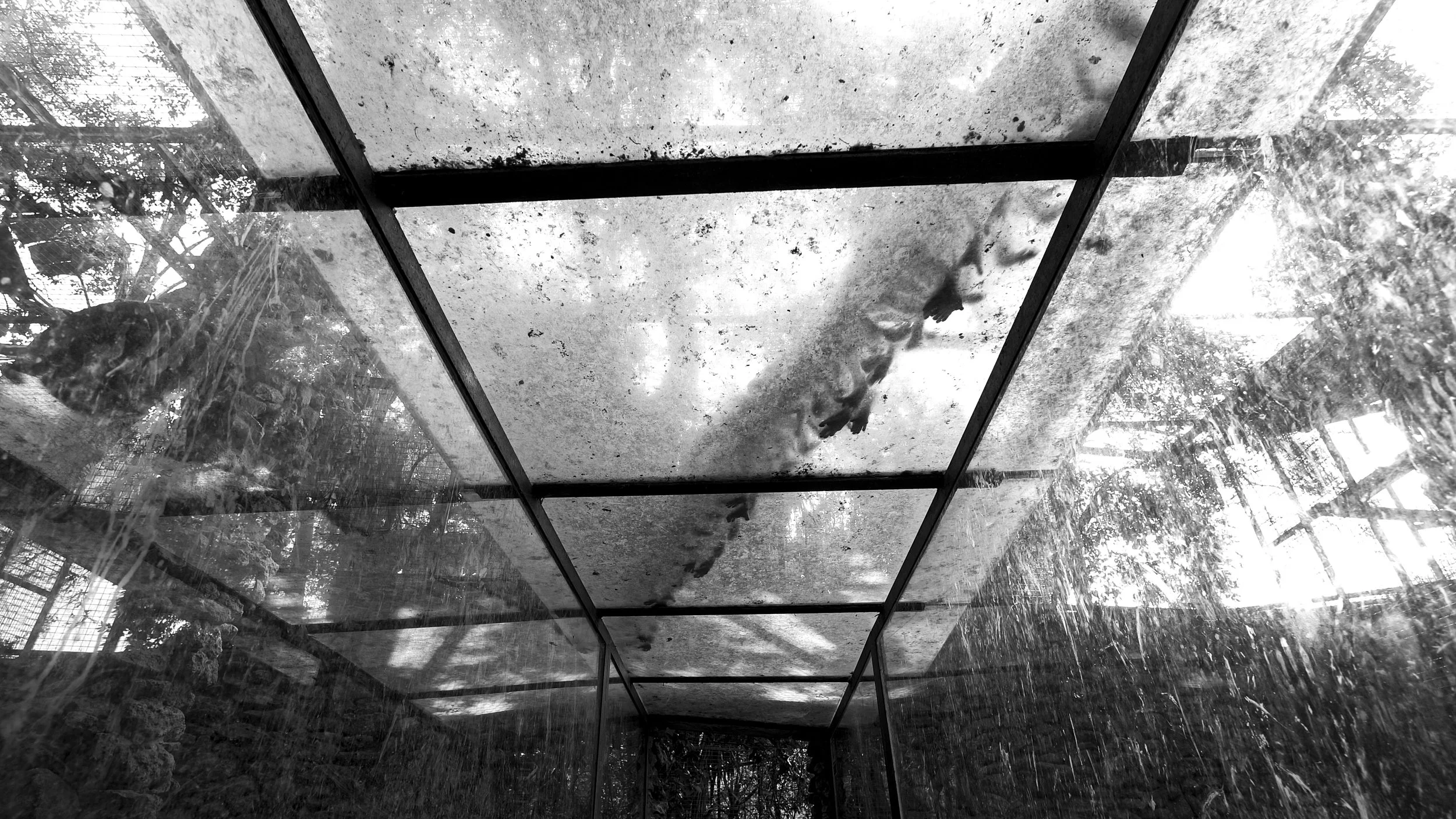 Untitled-10.jpg