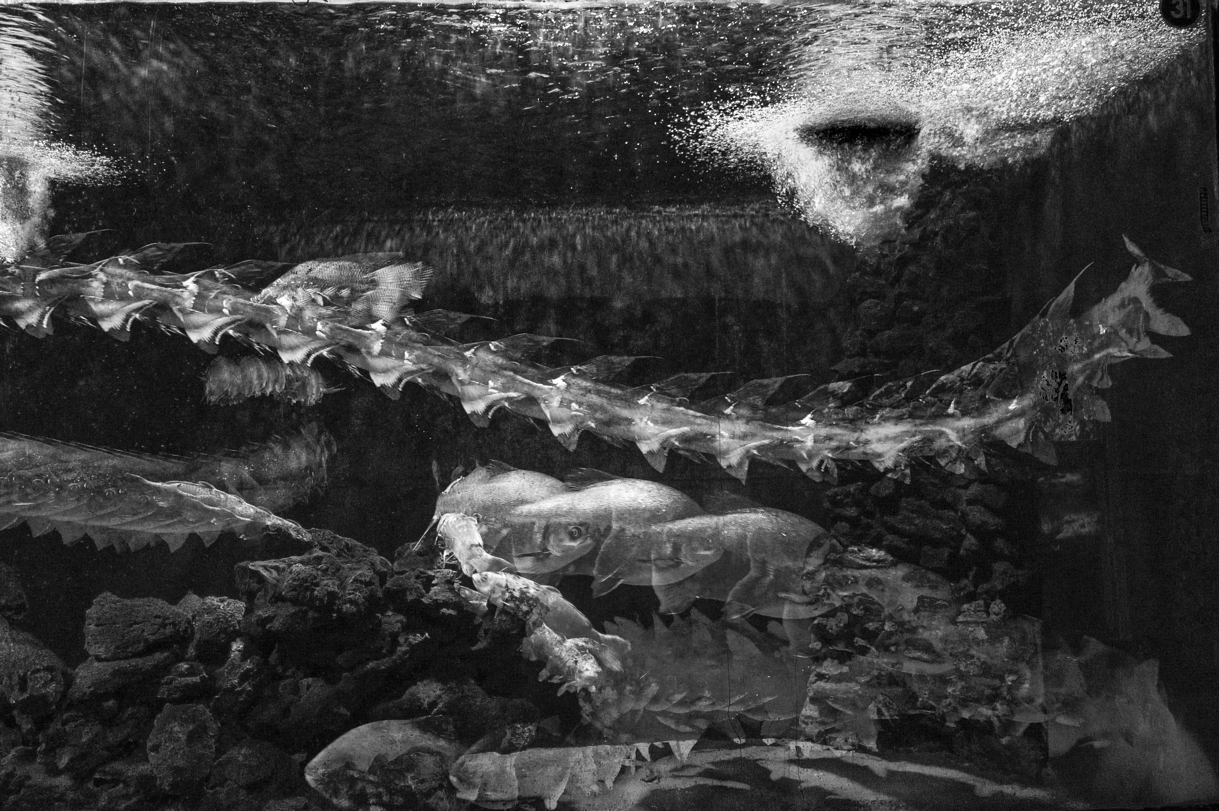 Untitled-4_2.jpg