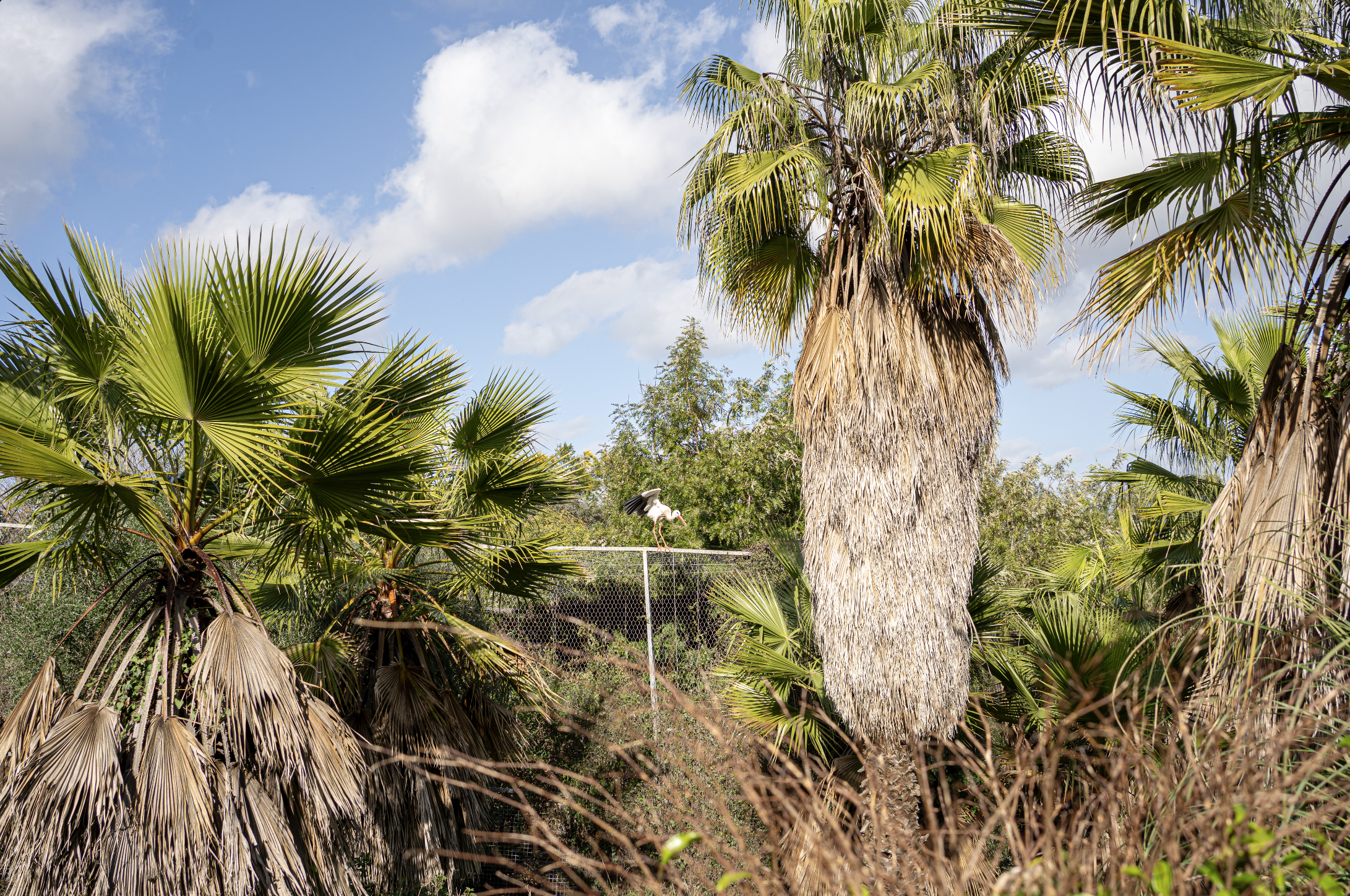 Screenshot 2026-02-18 at 20.30.25.png