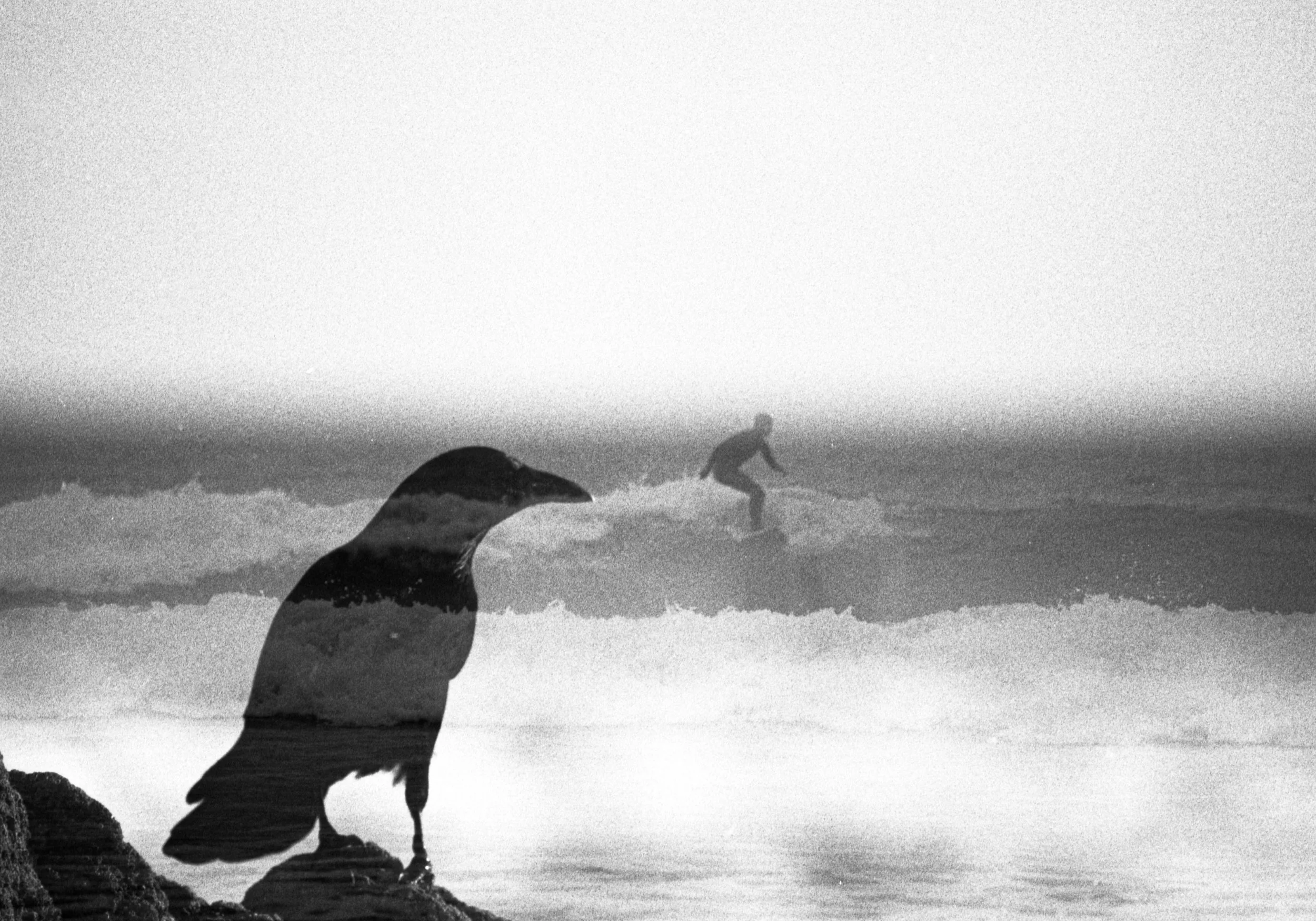 Double Exposure, Cornwall, 2024