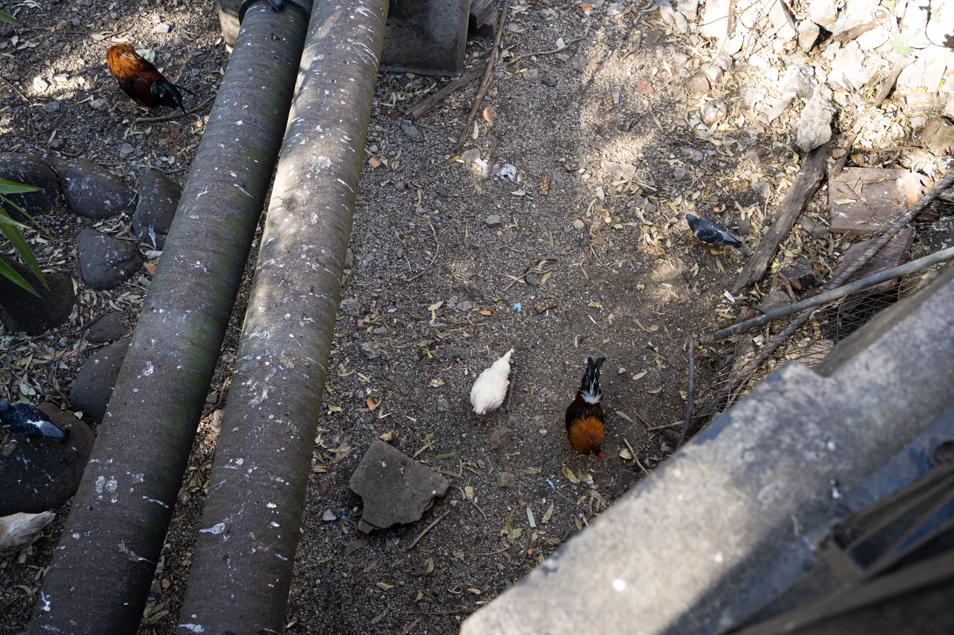 Screenshot 2026-02-19 at 20.04.21.png