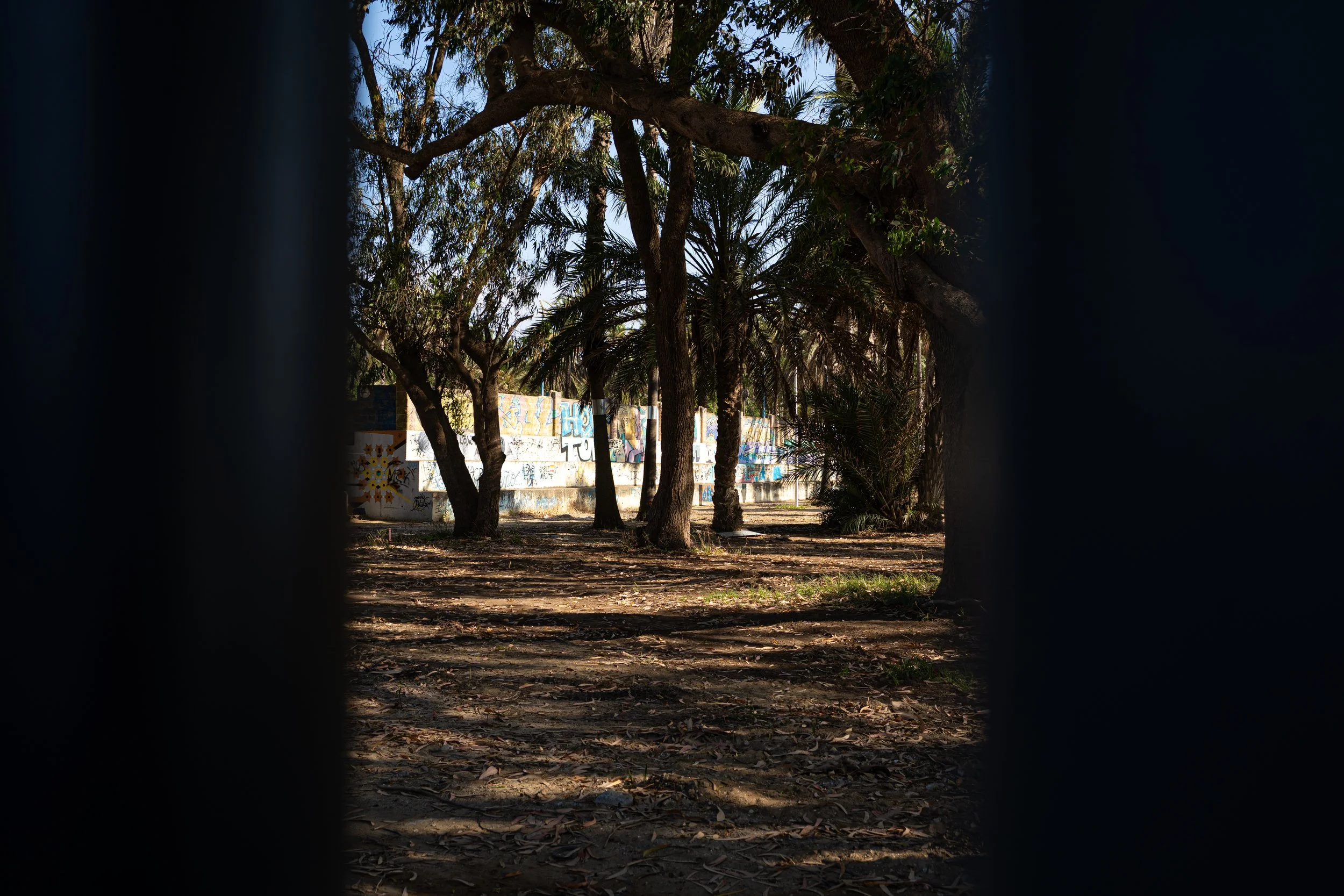DSC04236.jpg