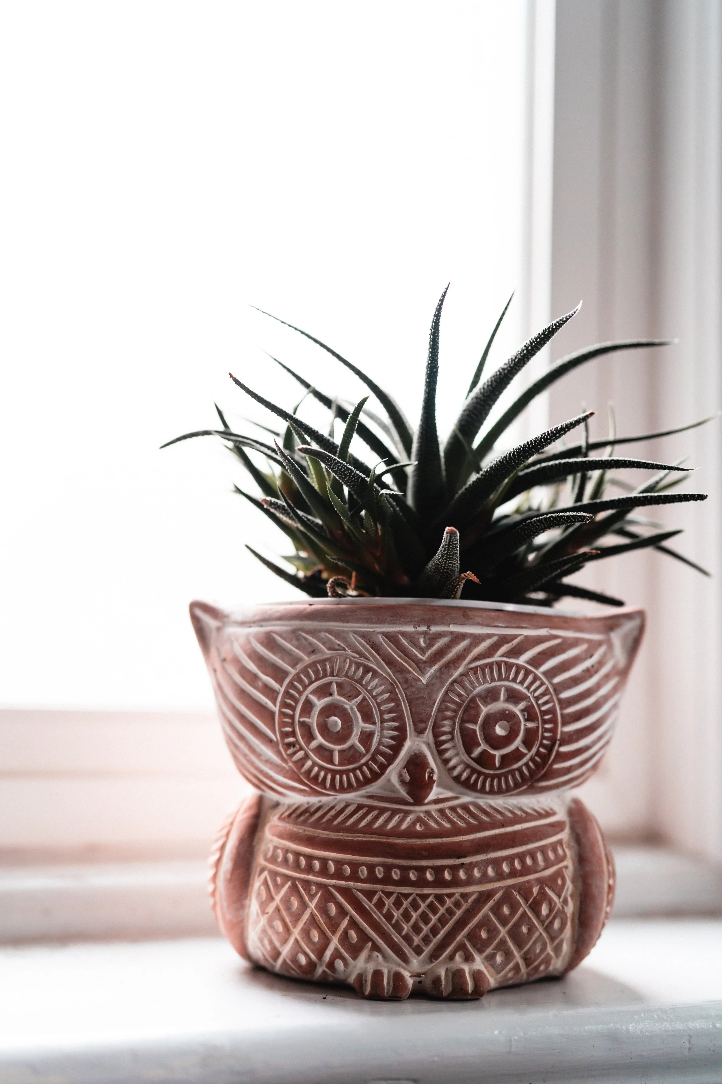 A terracotta pot designed with an intricate face pattern, featuring circular eyes, a nose, and geometric details, holding a dark green succulent plant with pointed leaves.