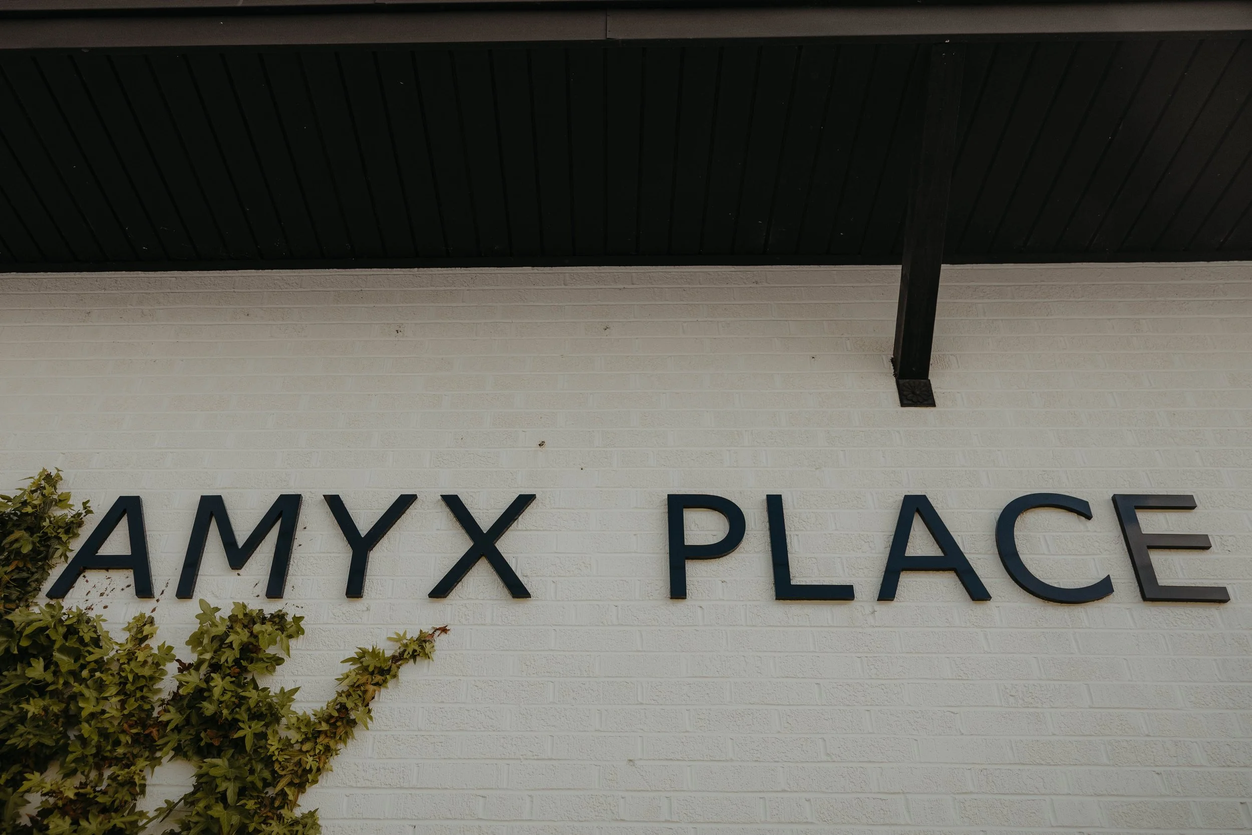 Photo of a building's exterior with a black ceiling and white brick wall. Partially visible large black letters spelling 'AMY X PLACE'. A small shrub with green leaves is in the lower left corner.