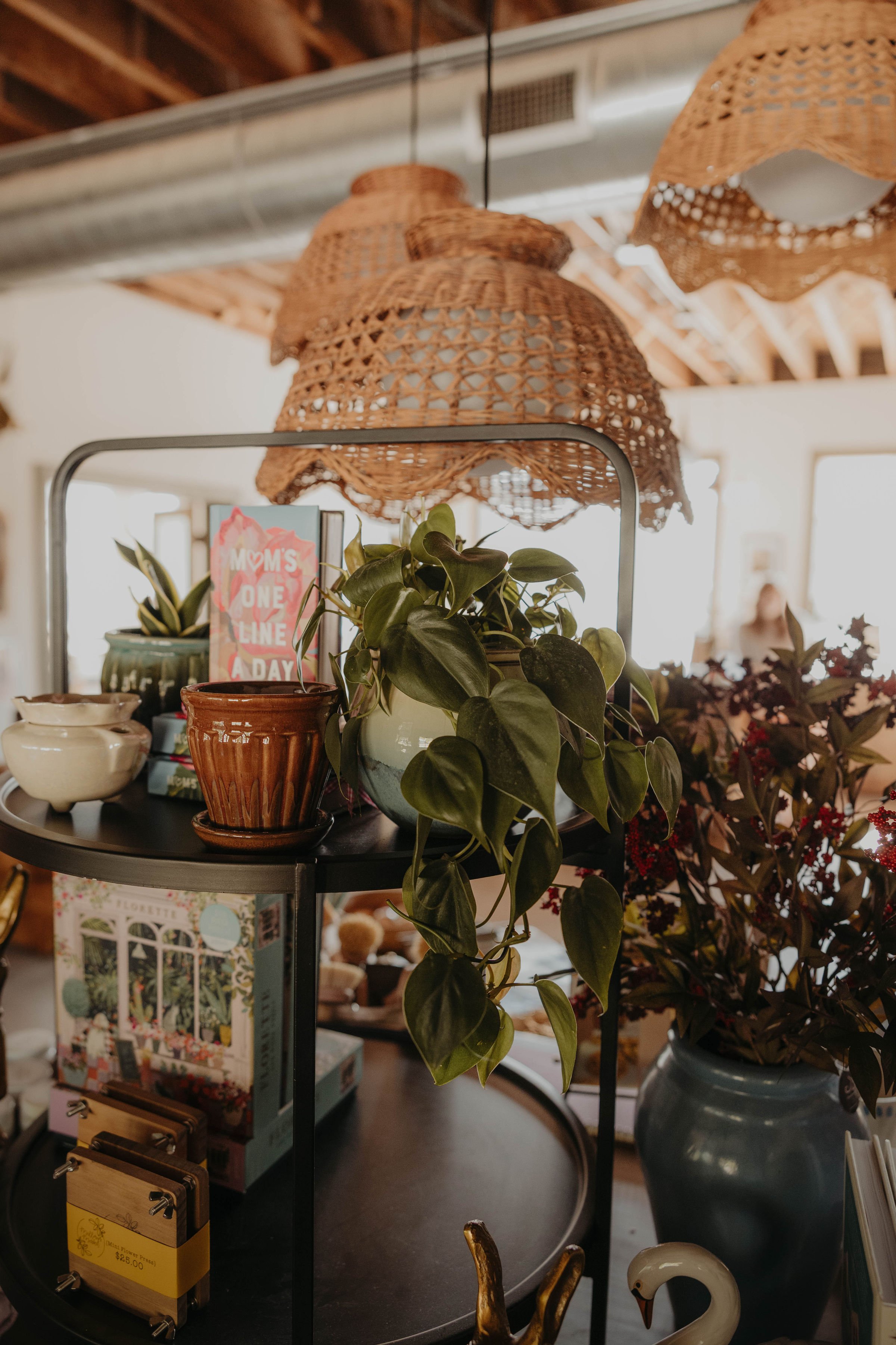 A display shelf with potted plants, decorative items, and picture frames inside a home, with woven pendant light fixtures hanging from the ceiling.
