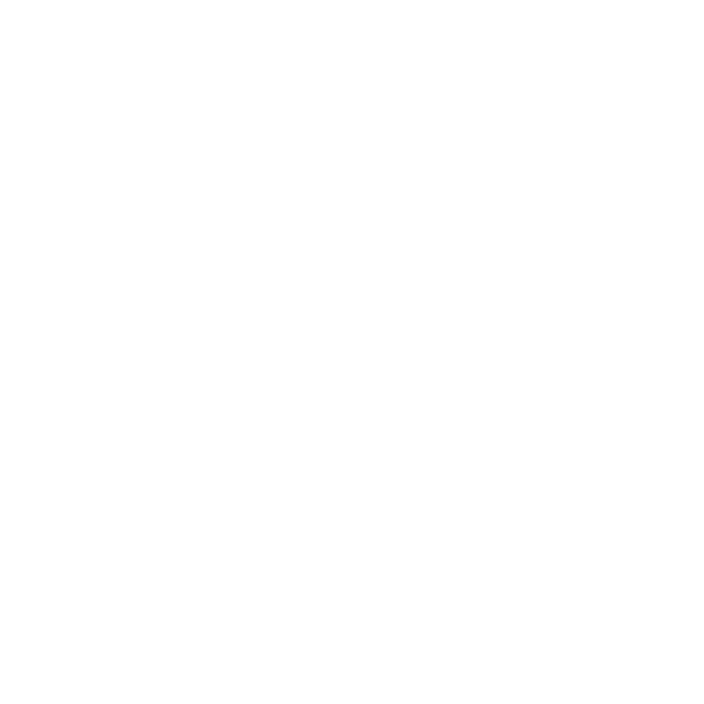 White hand-drawn botanical branch with leaves on black background.