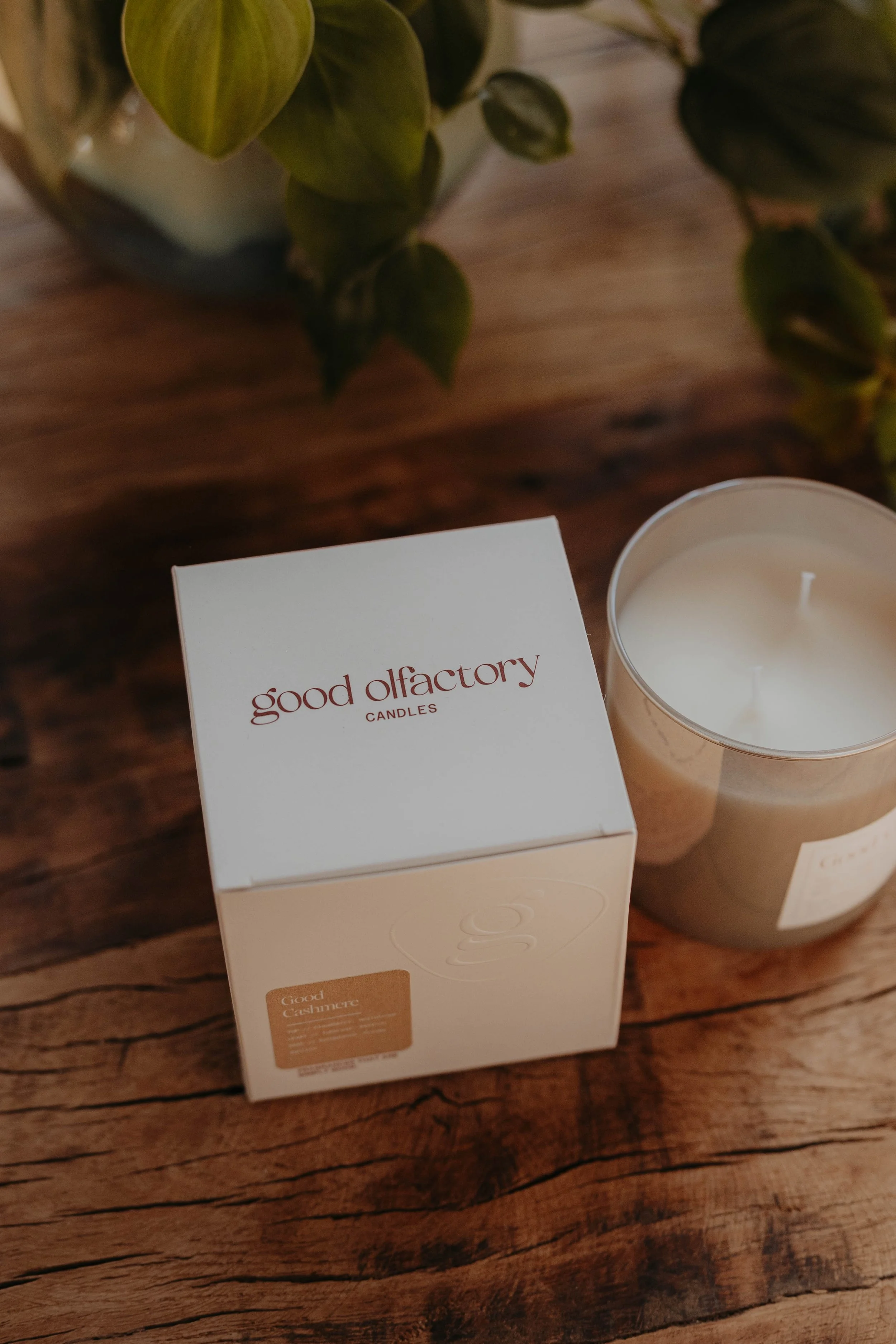 A white box labeled 'good olfactory candles' and a candle in a clear container, placed on a wooden surface with a plant in the background.
