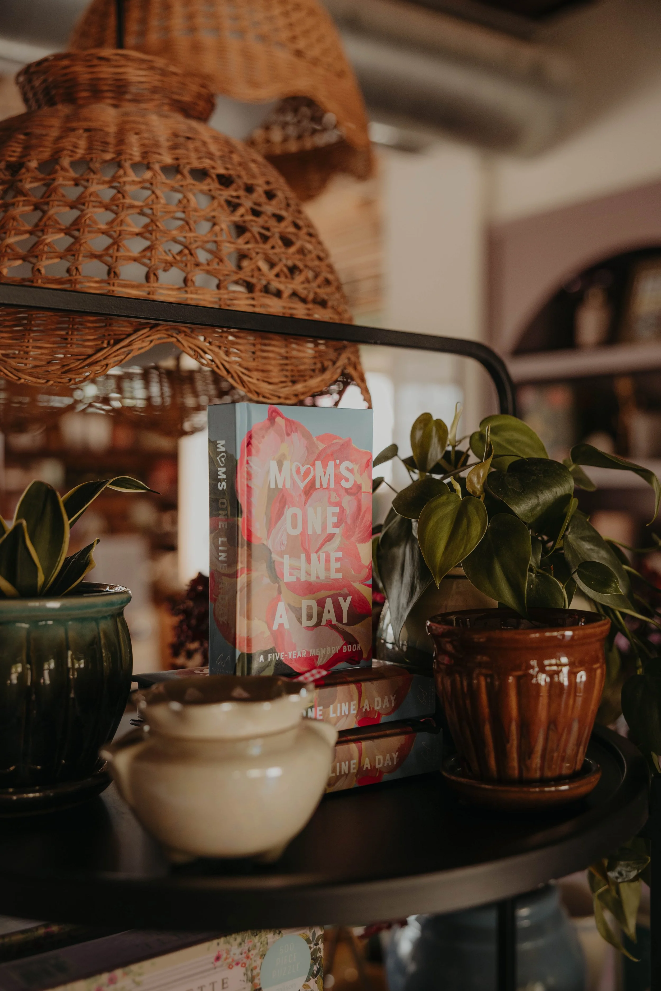 Decorative shelves with rattan baskets, potted plants, and books, including a book titled 'Mom's One Line a Day' with illustrations of pink flowers.